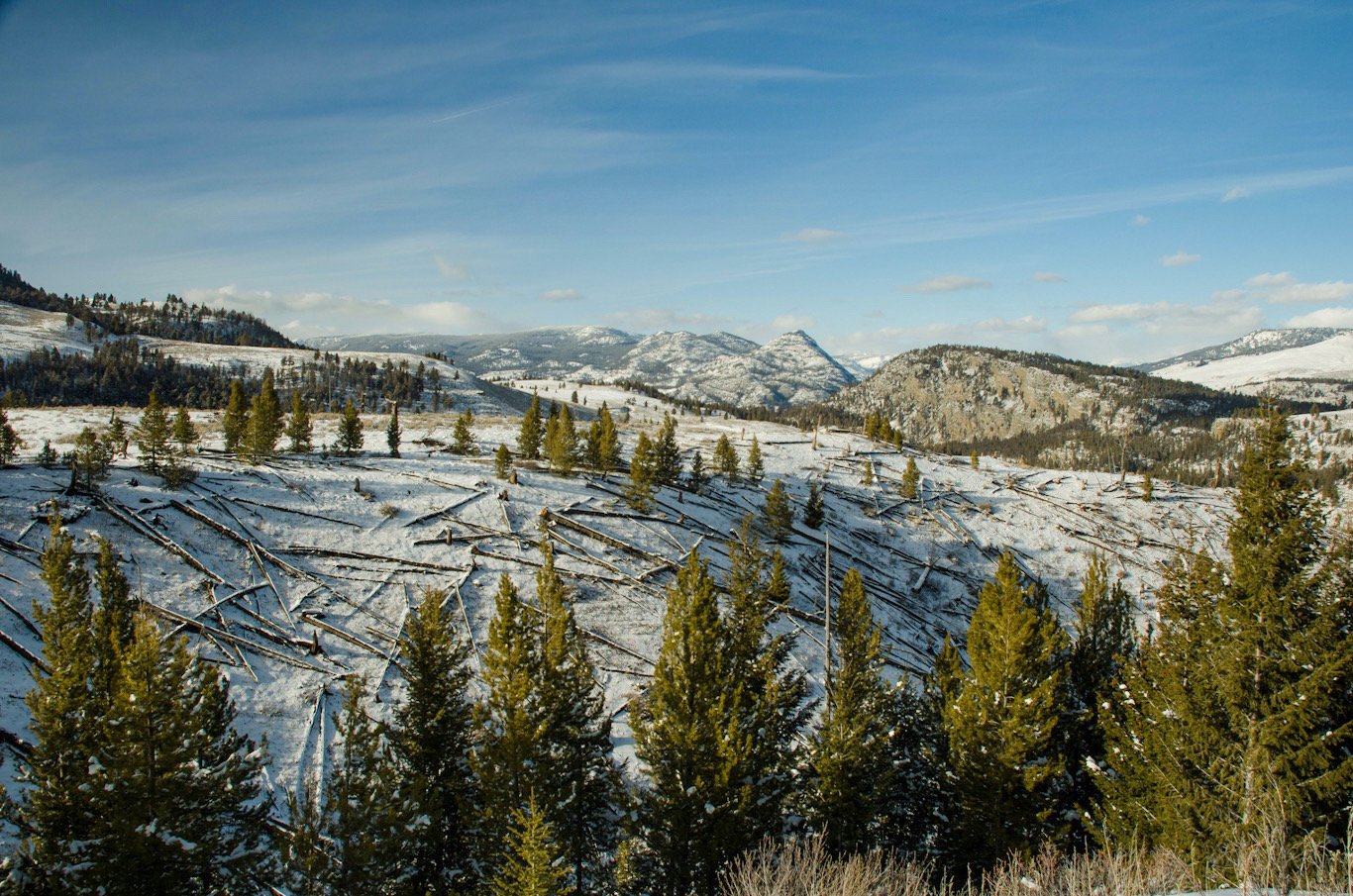 Stream of Consciousness Writing | Cook City, Montana Pt 1.