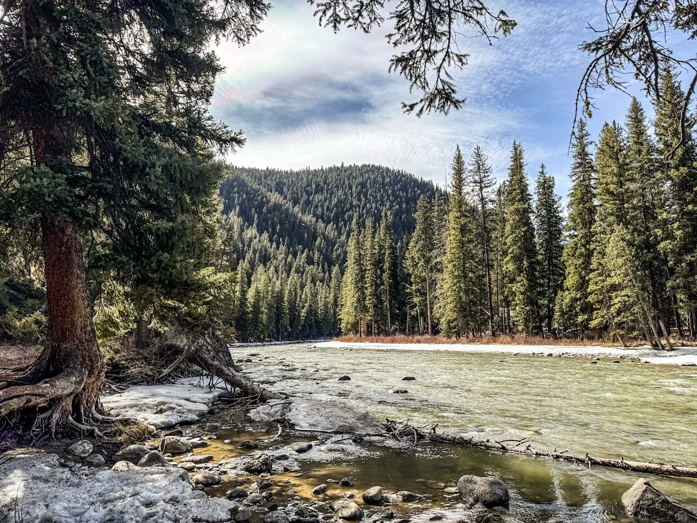 The Diary of a Cleansing Man