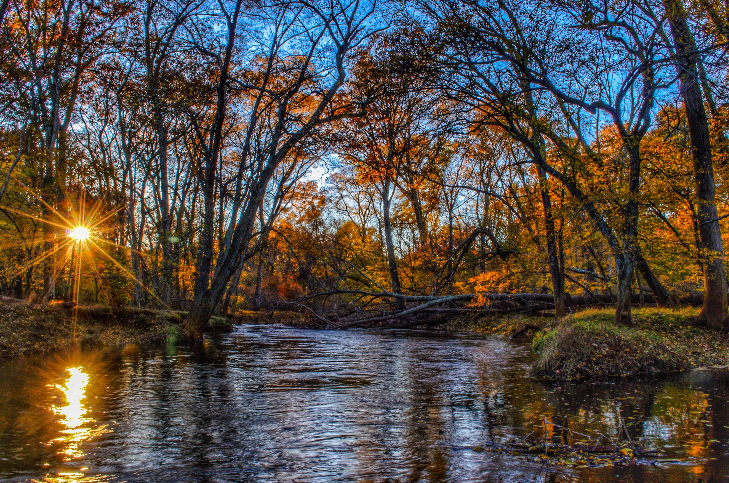 "Inhale" ~ These leaves fall, into a meandering river. The sun descends, behind a backdrop of trees. Autumn breezes blow, cracking branches and twigs. Birds tweet, their closing set. Close your eyes, inhale ... (Allaire State Park, Wall, New Jersey)