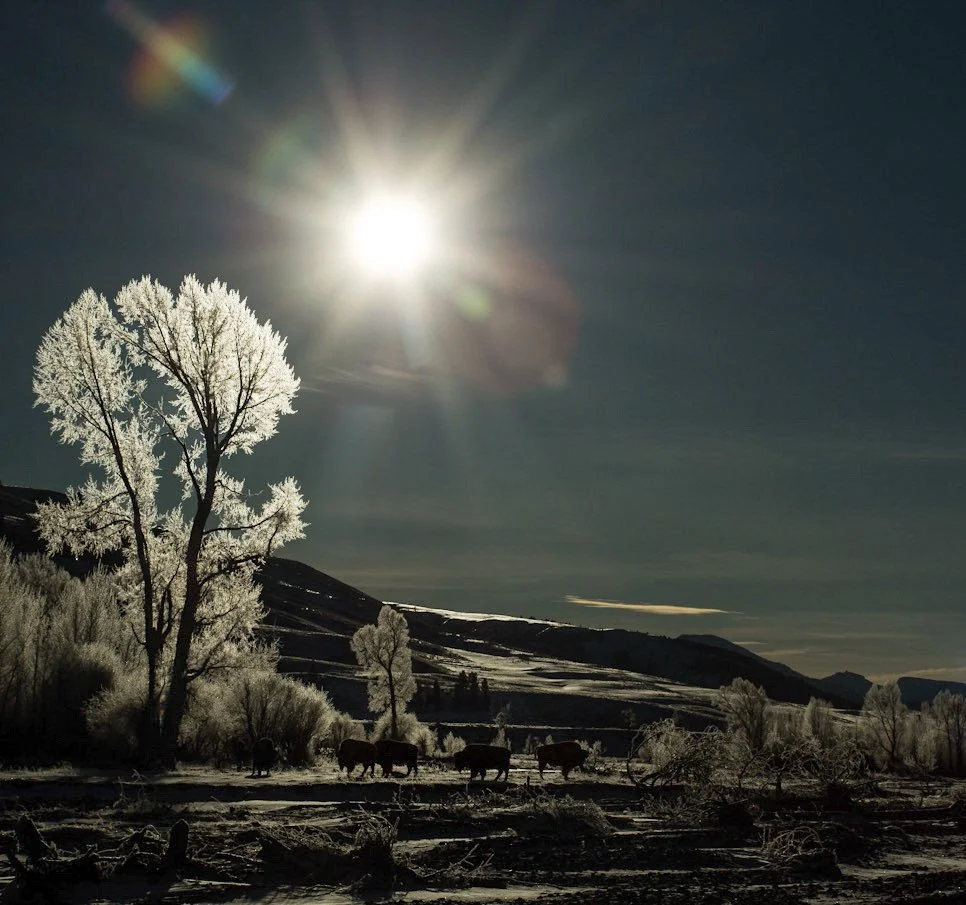 New Releases: December 2025