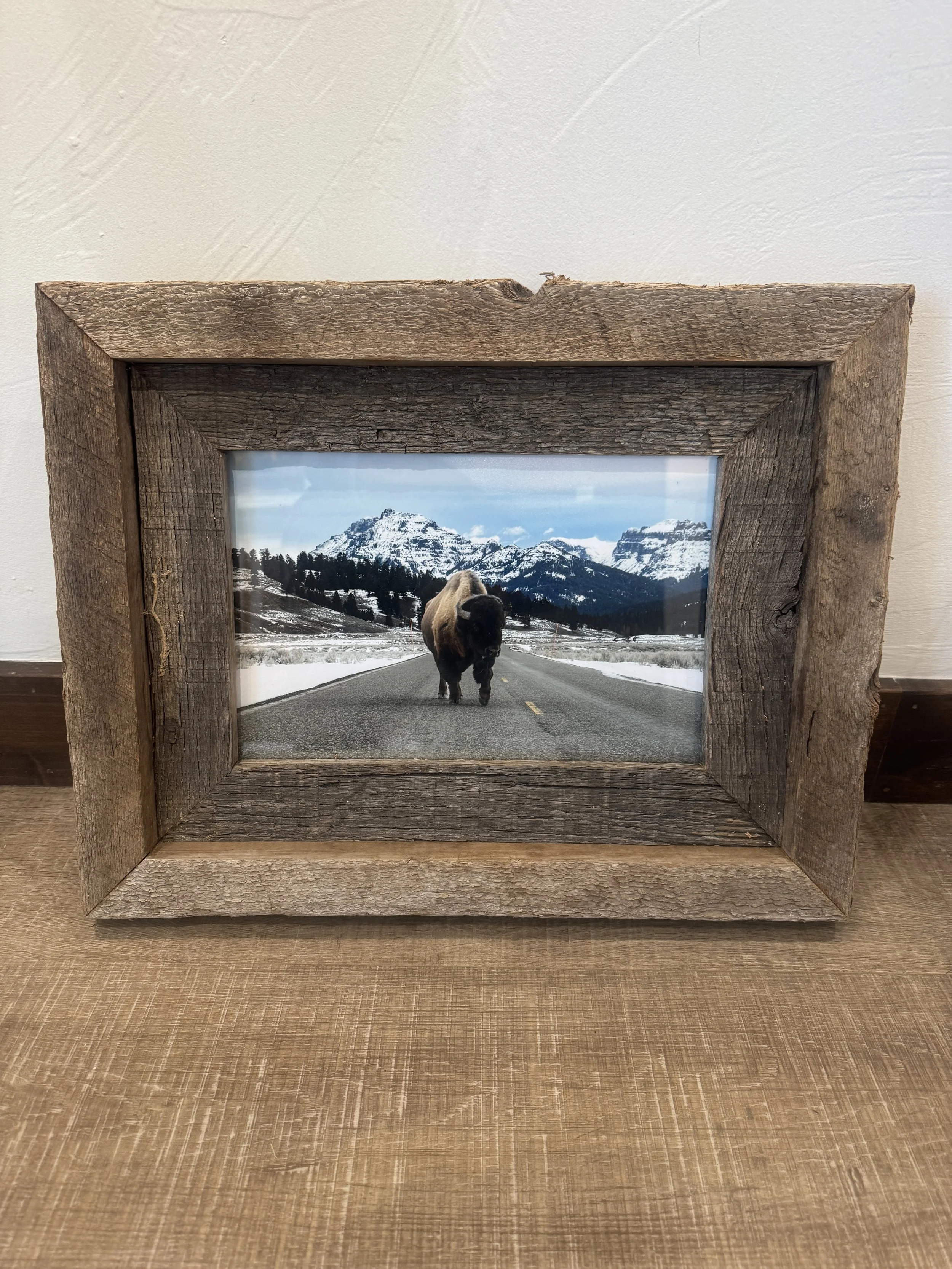 "Silent Agreement" ~ 8"x12" Rustic Repurposed Barn Wood Frame ~ Yellowstone National Park, Wyoming
