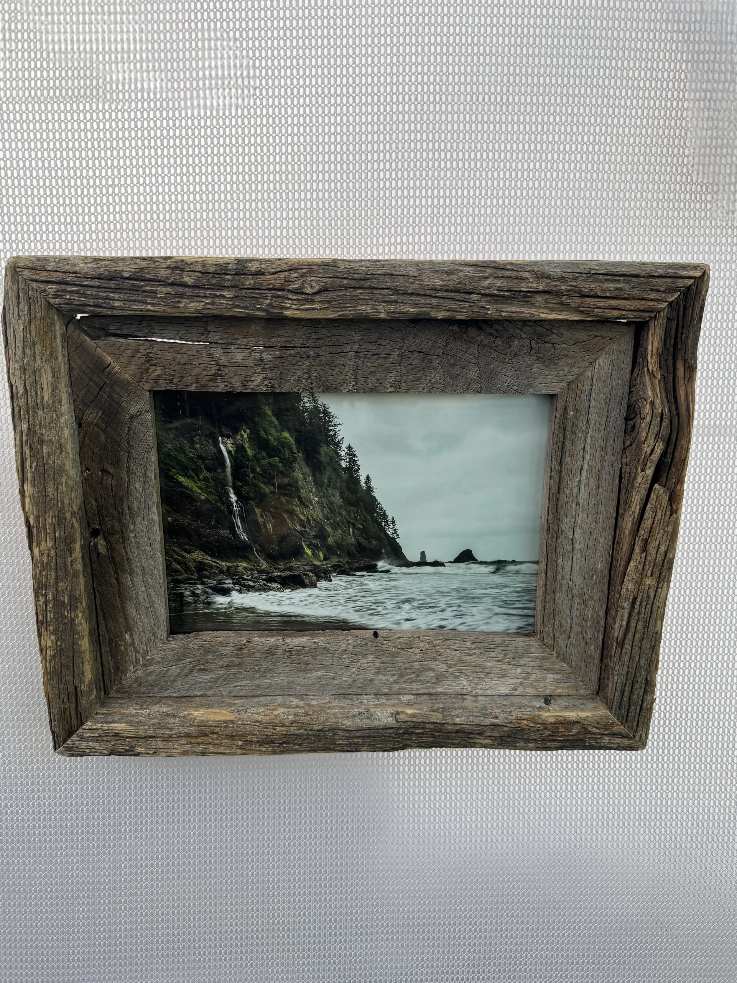 IMG_6770.jpg