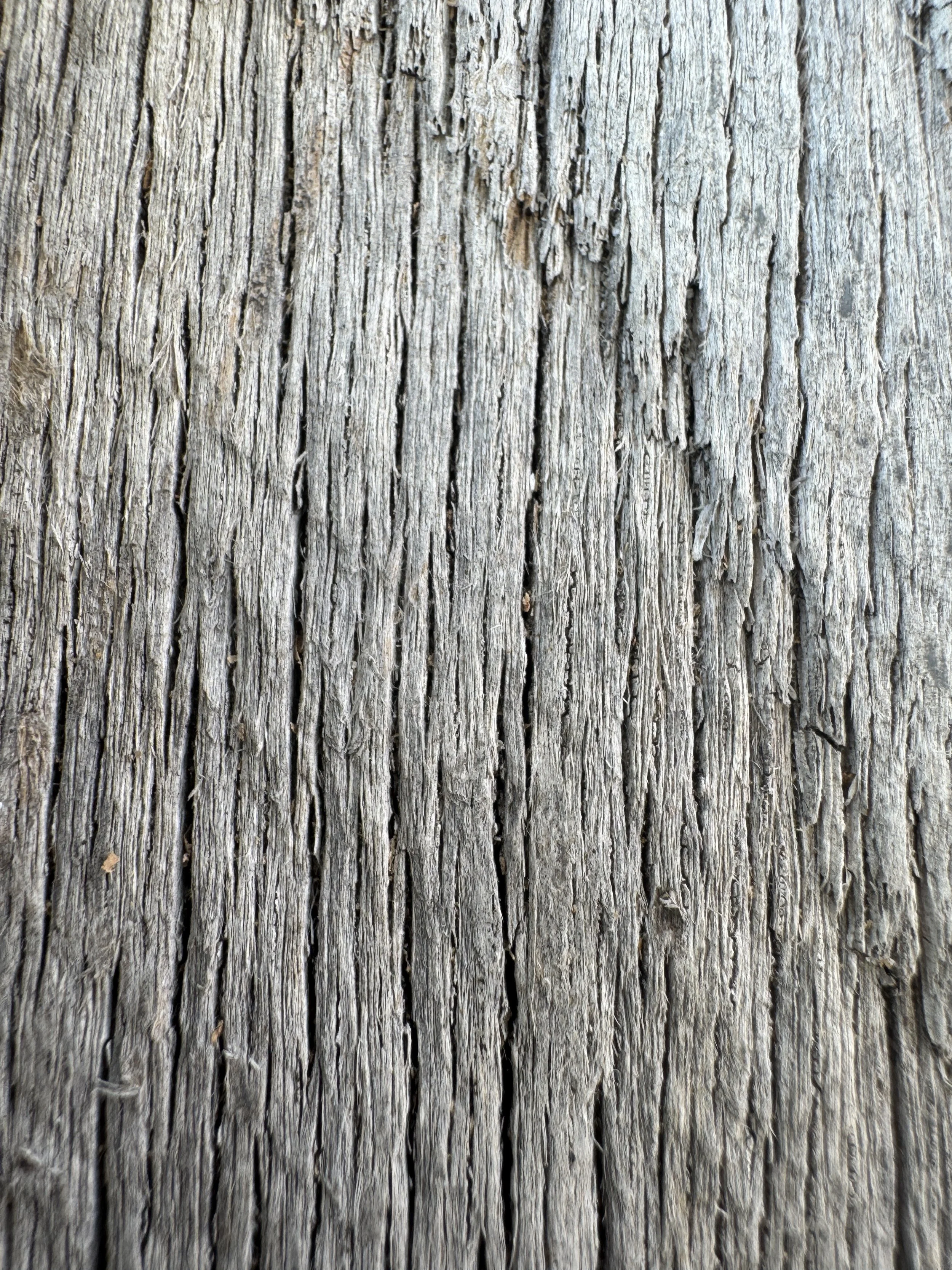IMG_7080.JPG