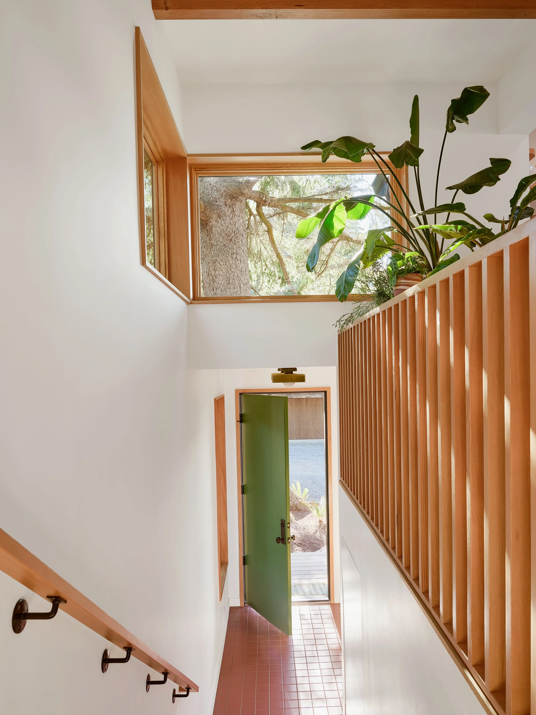 UniversityManzanita_001.jpg