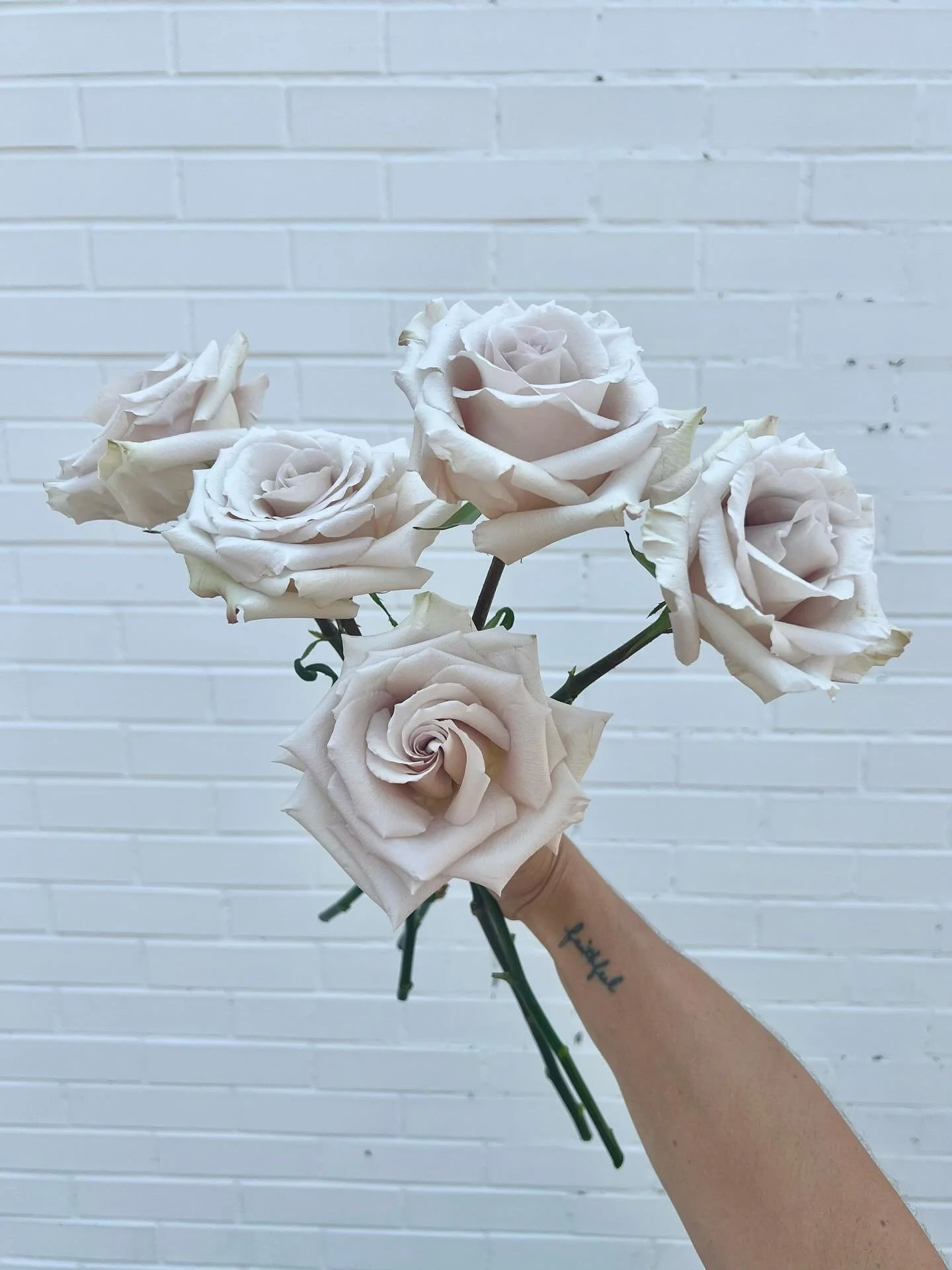 Real or fake??? 

These roses might look too beautiful to be true, but they&rsquo;re so real! You better believe it! The color is called &ldquo;Quicksand&rdquo; so if you ever are looking for them specifically, you can know exactly what to ask for!

