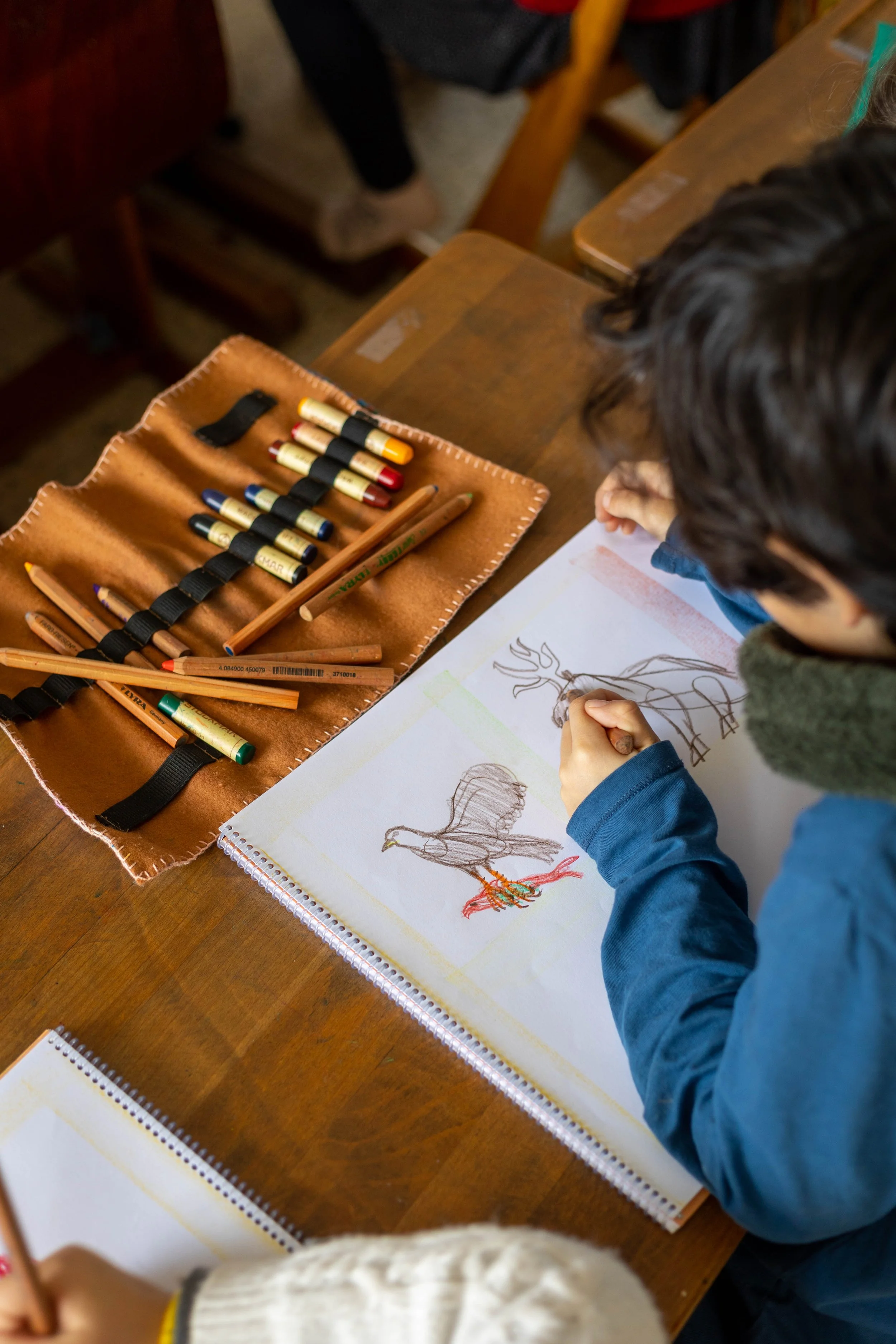 Launching Our Schools Guide: Choosing A School In Cantabria