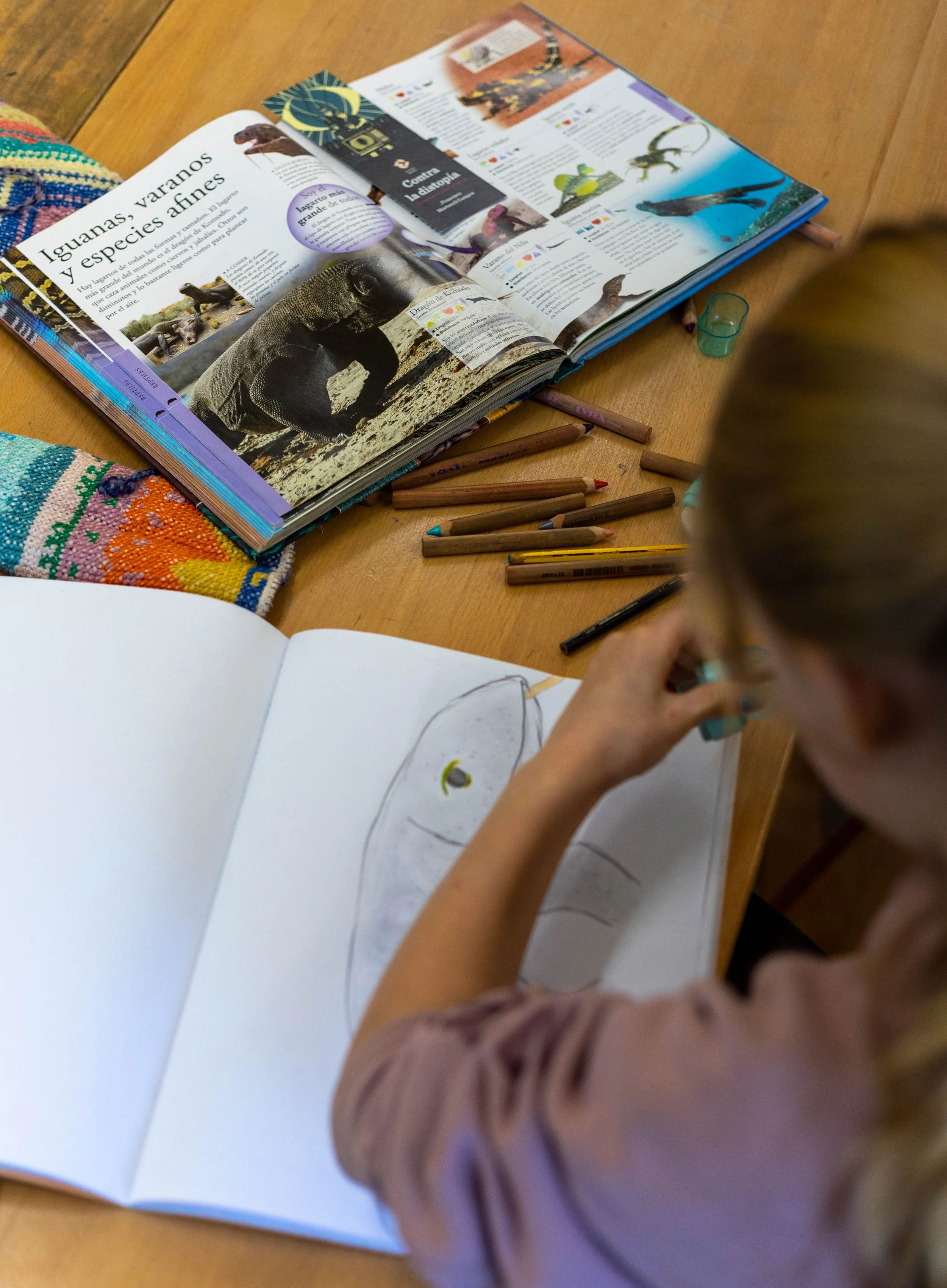 Applying for Schools in Cantabria: What You Need to Know