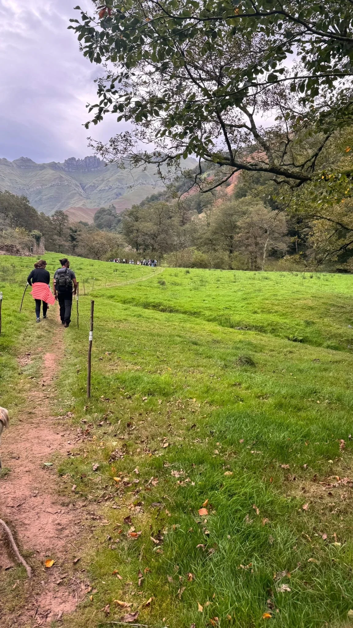 Moving to Cantabria: Why Local Knowledge Matters More Than You Think