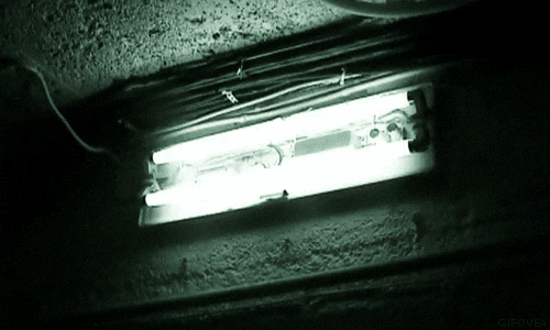 Haunted Heights: The Spooky Side of Elevators This Halloween