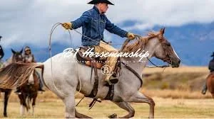 B1 Horsemanship Clinic