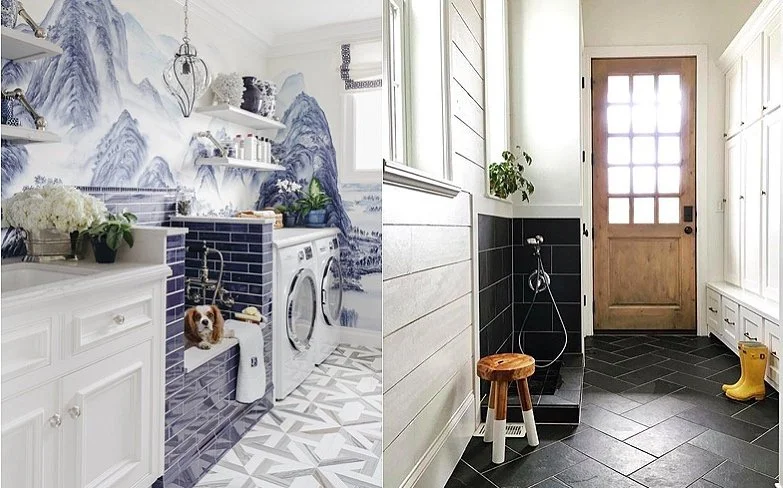 Designing a Home for Your Furry Family Member