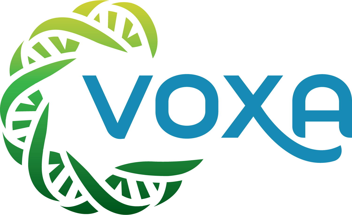 Voxa
