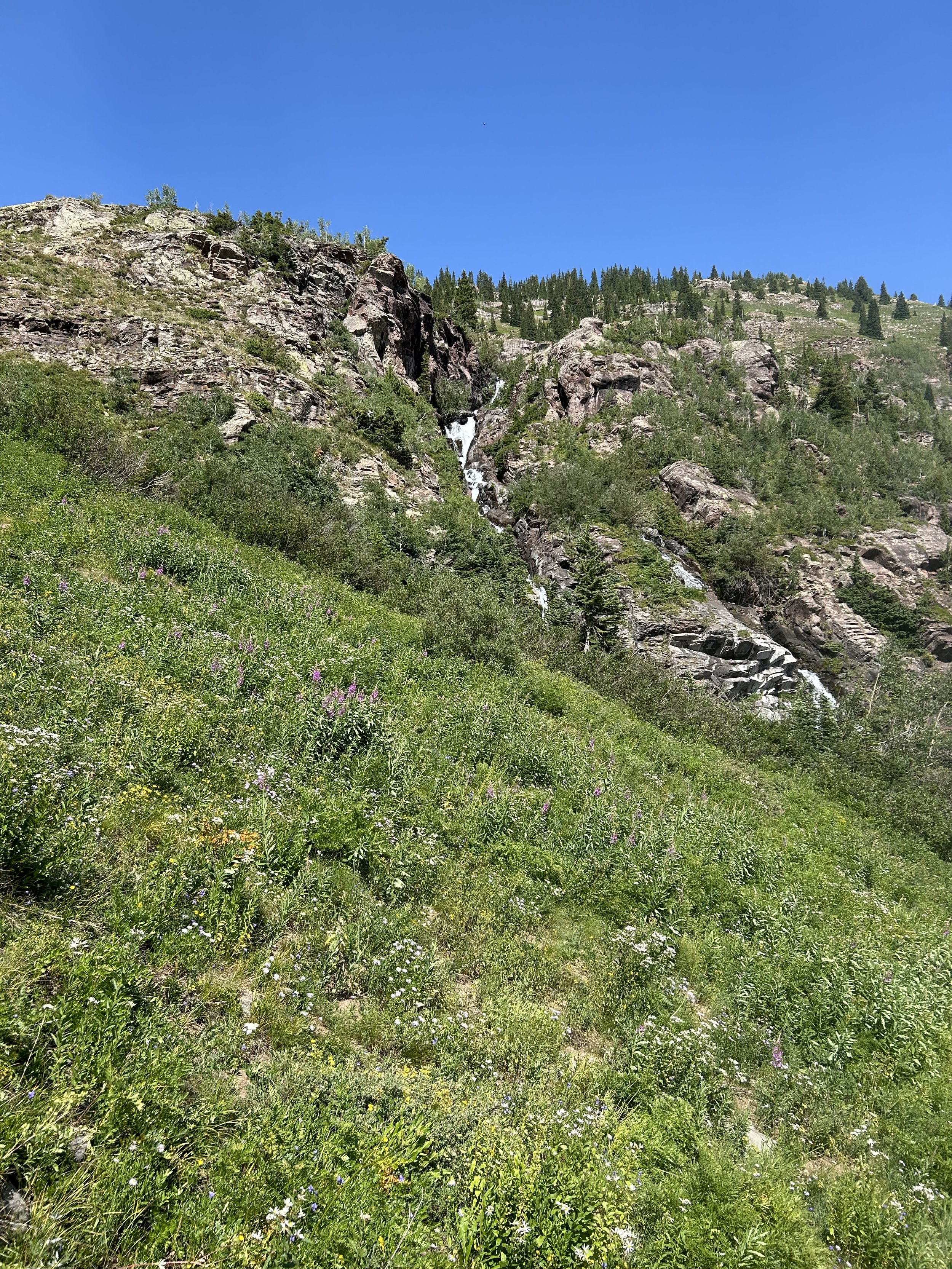 IMG_1852.jpeg