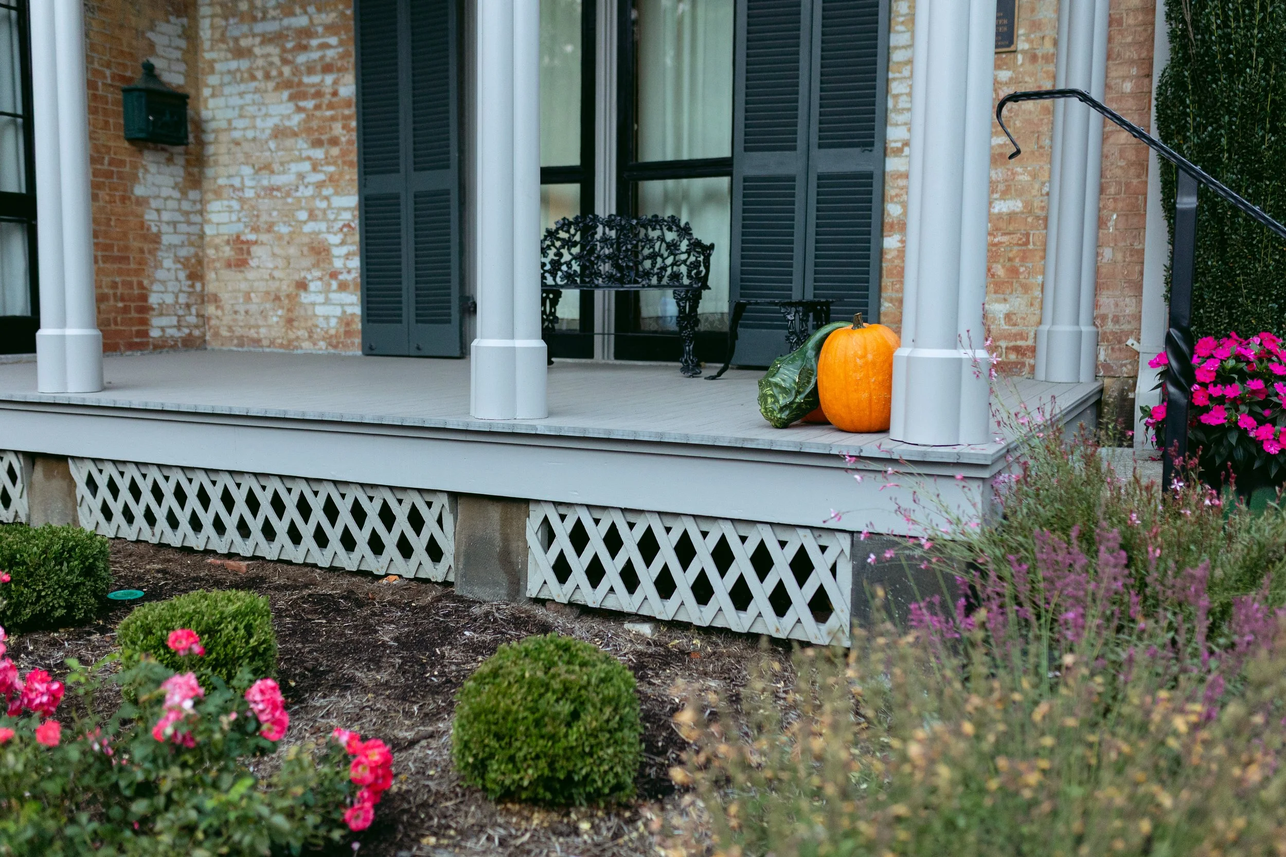 ShiloAlysePhotography 09-25-25-54.jpg