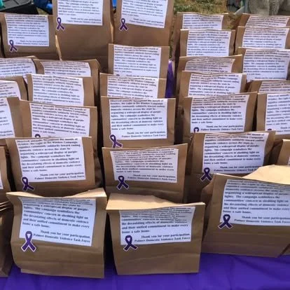 Palmer purple lights - bags.jpg