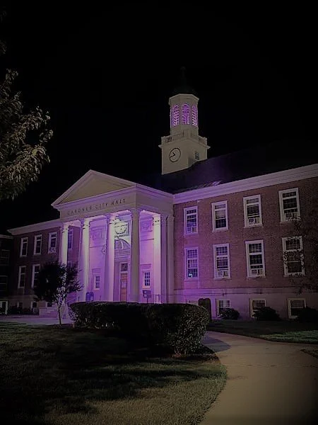 Gardner - purple light campaign.jpg