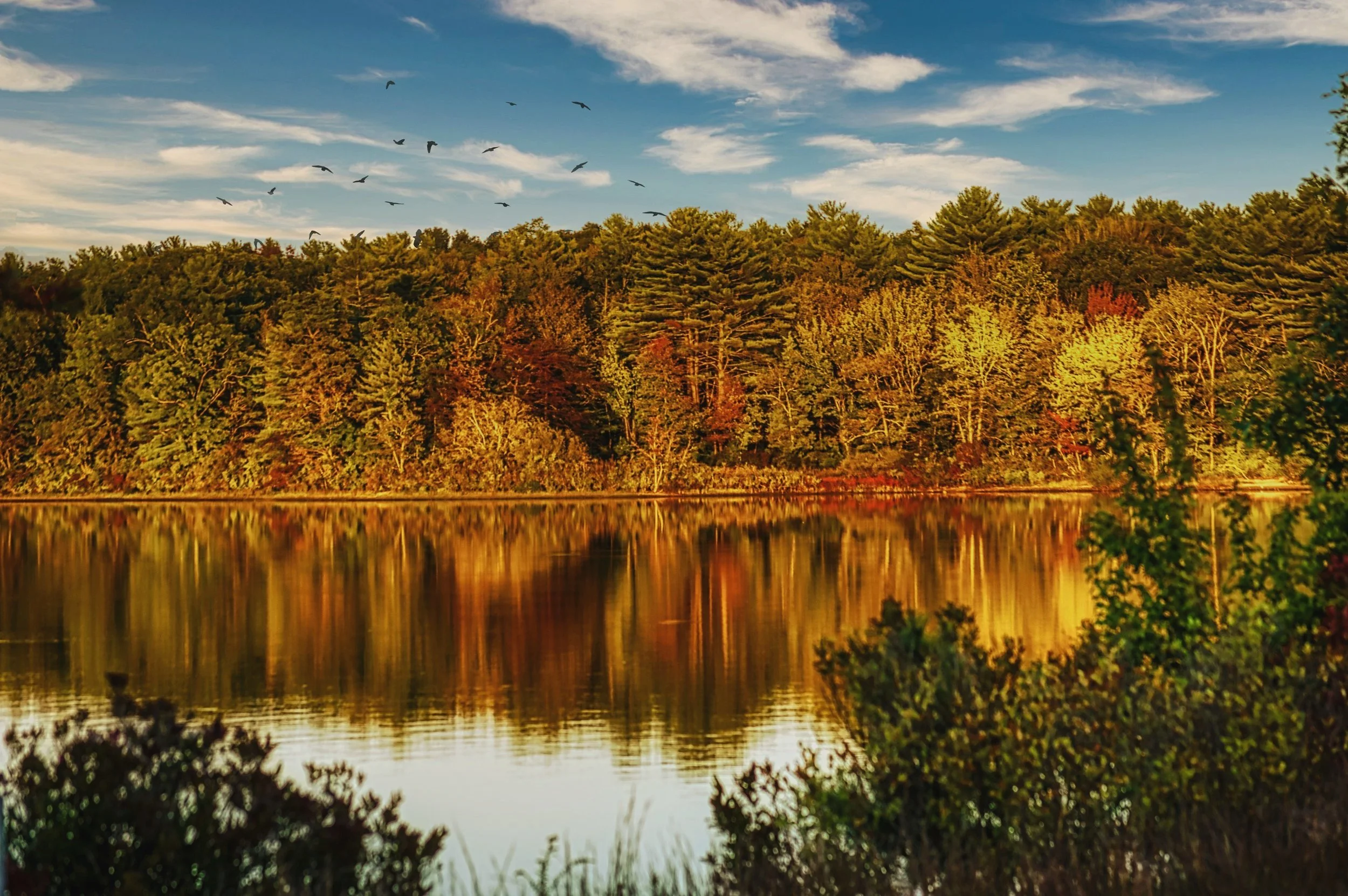 Member Task Forces | Join Our Efforts — RNEDV Rural Network to End ...