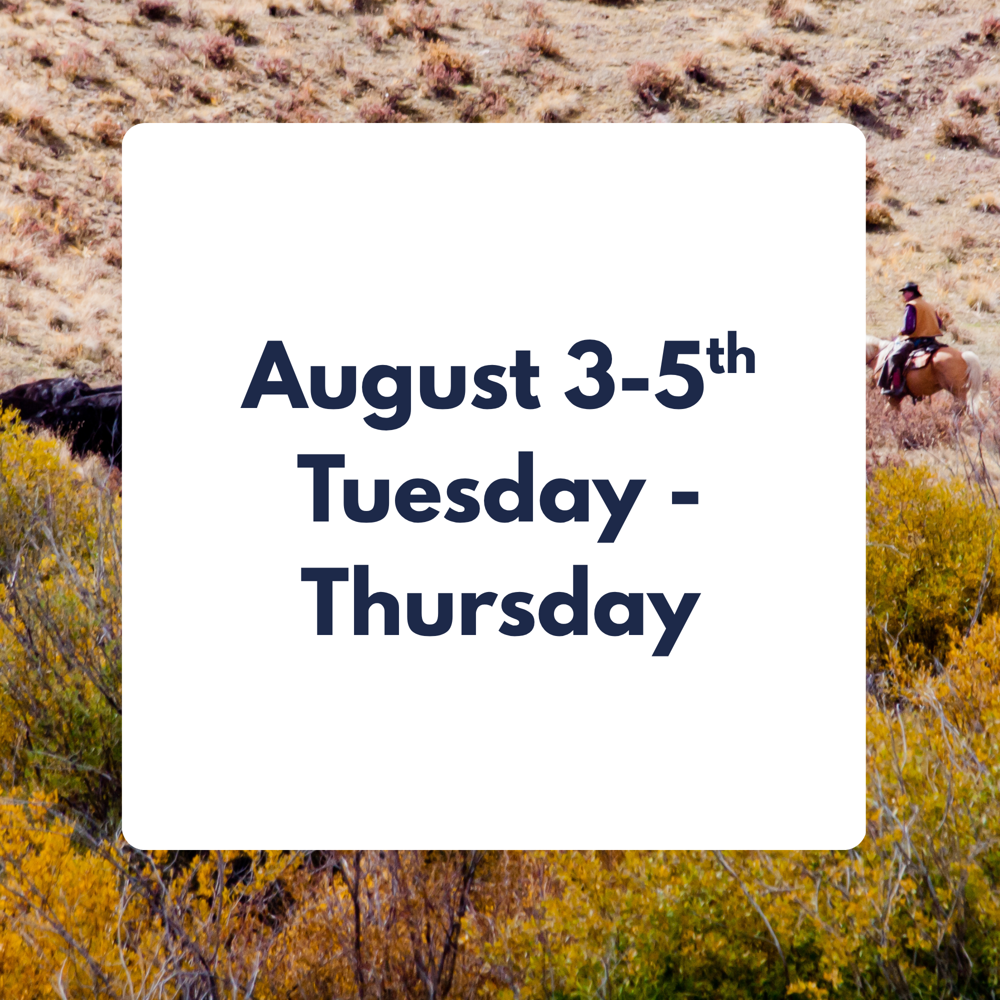 August 3-5th 3 DAY WESTERN CATTLE DRIVE EXPERIENCE