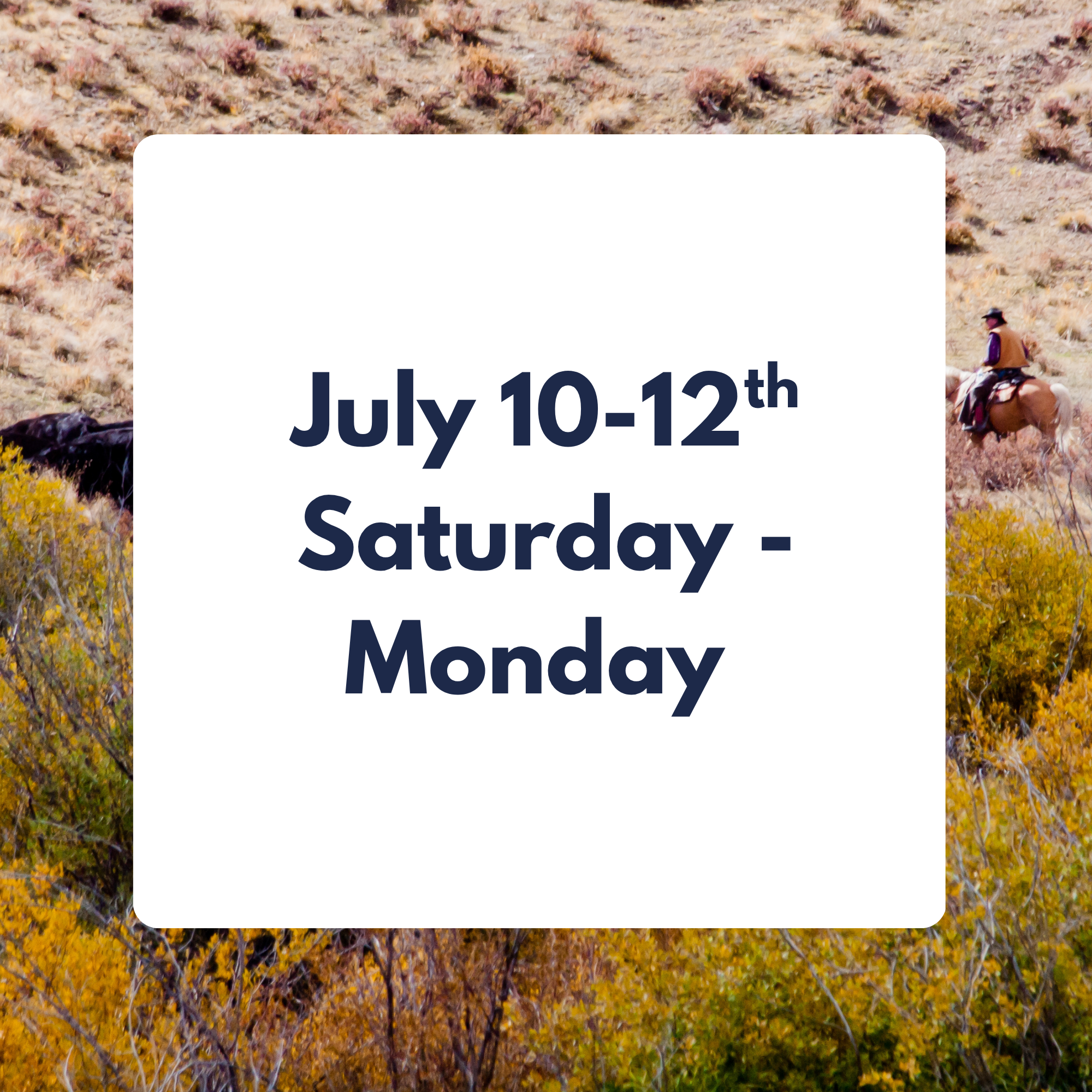 July 10-12th 3 DAY WESTERN CATTLE DRIVE EXPERIENCE