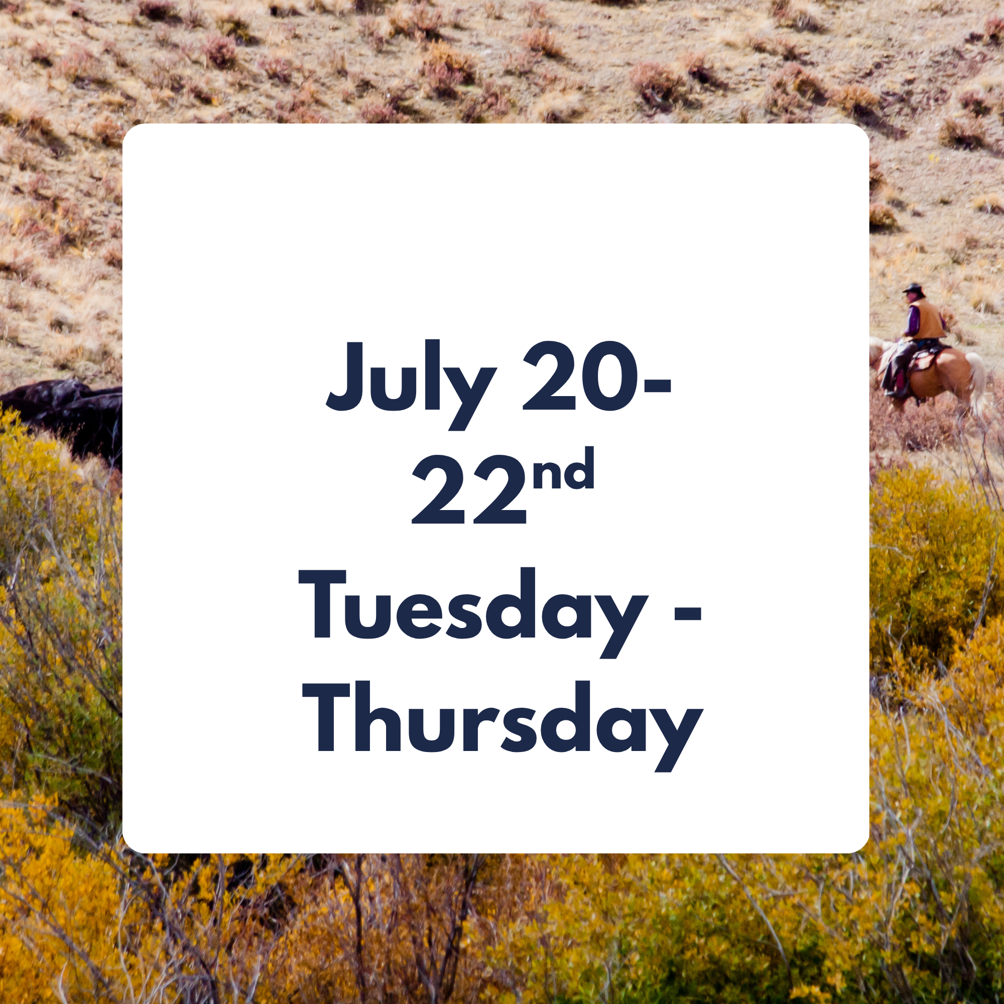 July 20-22nd 3 DAY WESTERN CATTLE DRIVE EXPERIENCE