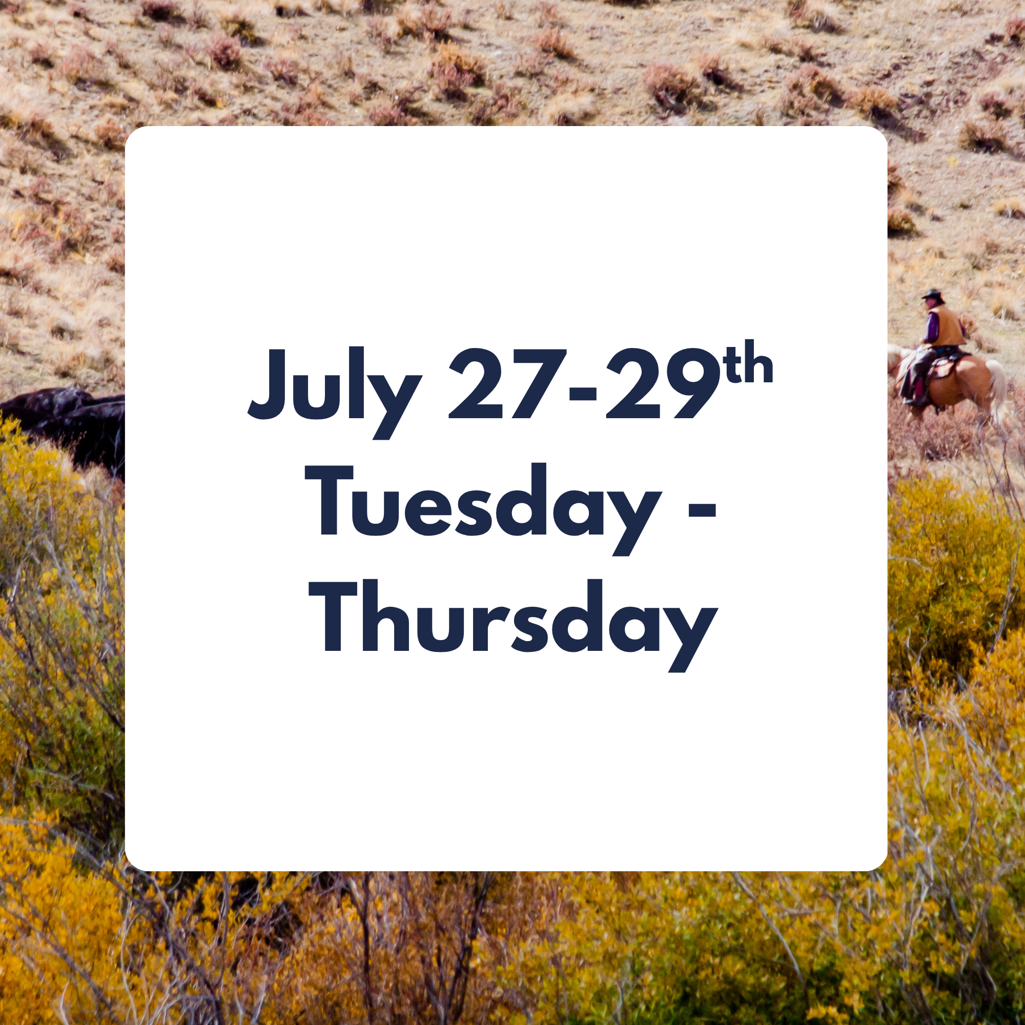 July 27-29th  3 DAY WESTERN CATTLE DRIVE EXPERIENCE