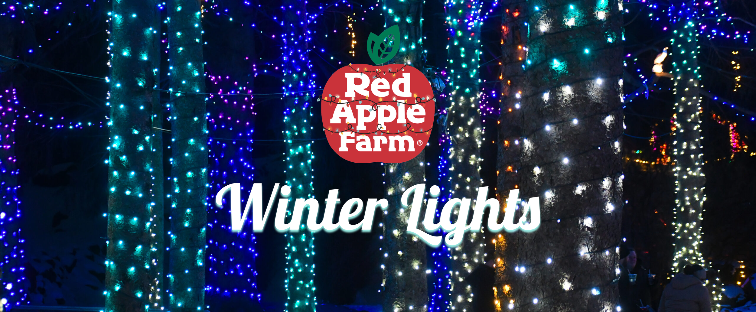 Winter Lights Logo