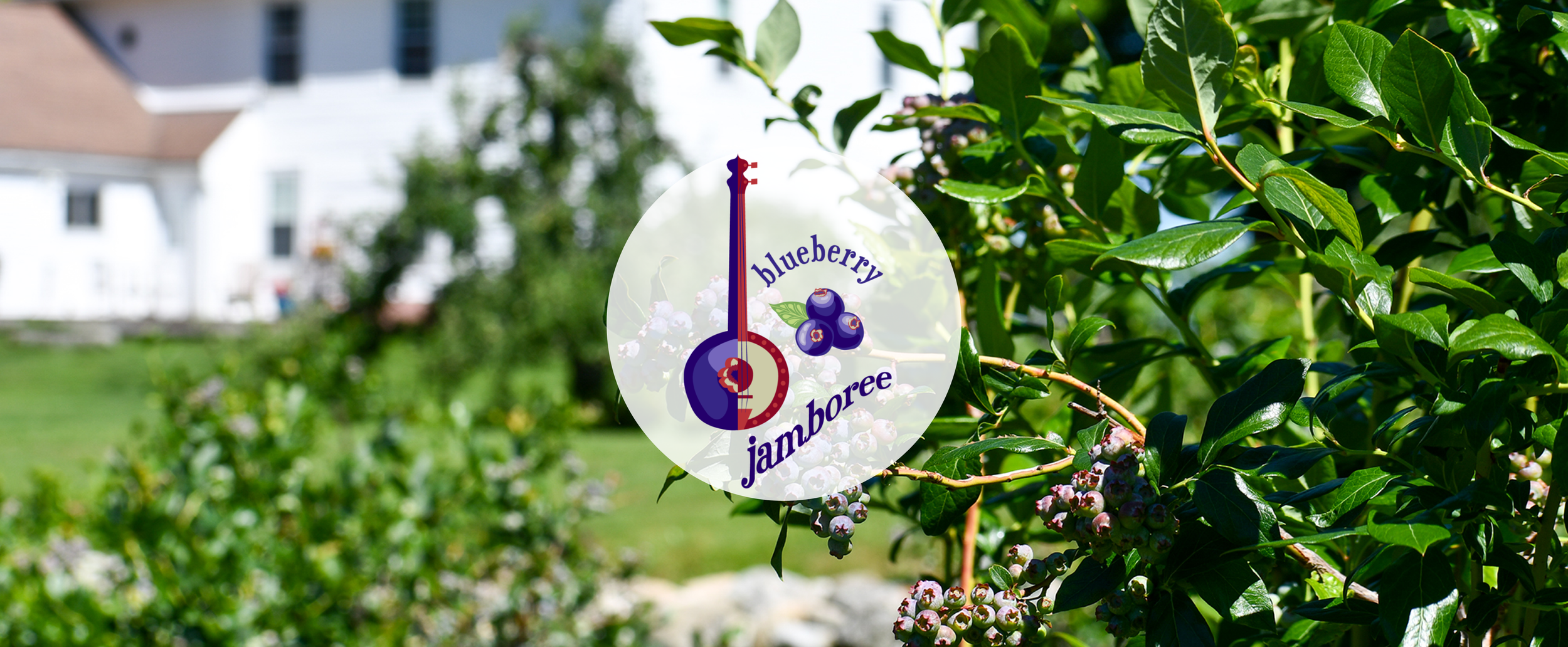 Blueberry Jamboree Logo