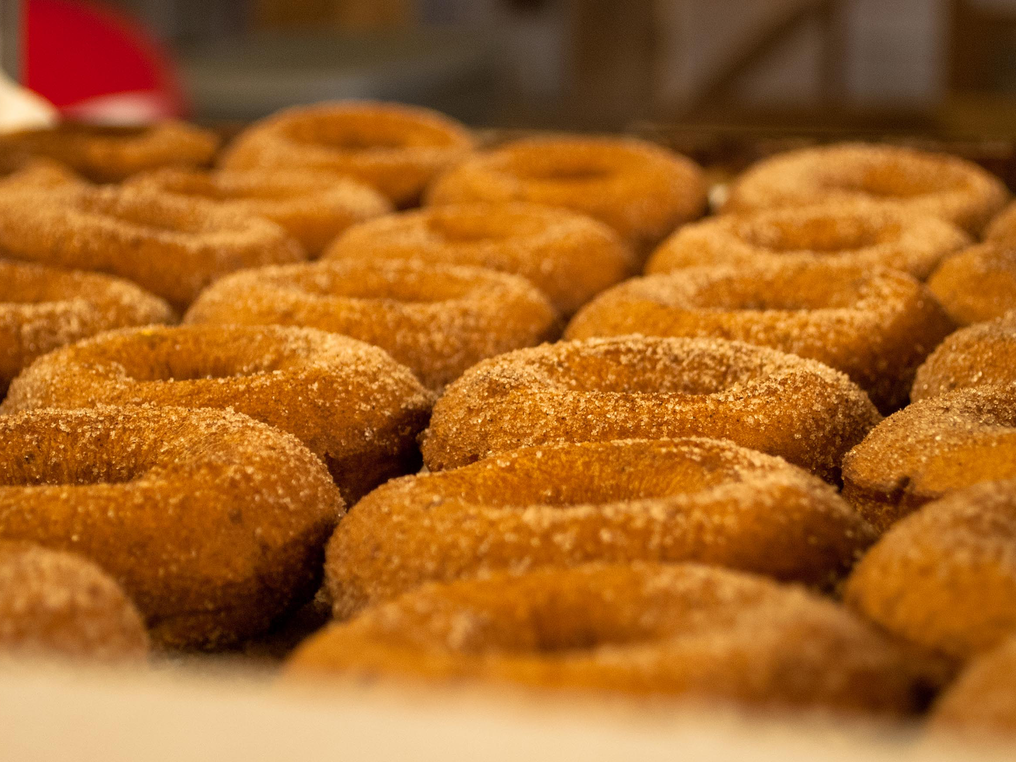 A tray of freshly fried apple cider donuts covered in cinnamon sugar