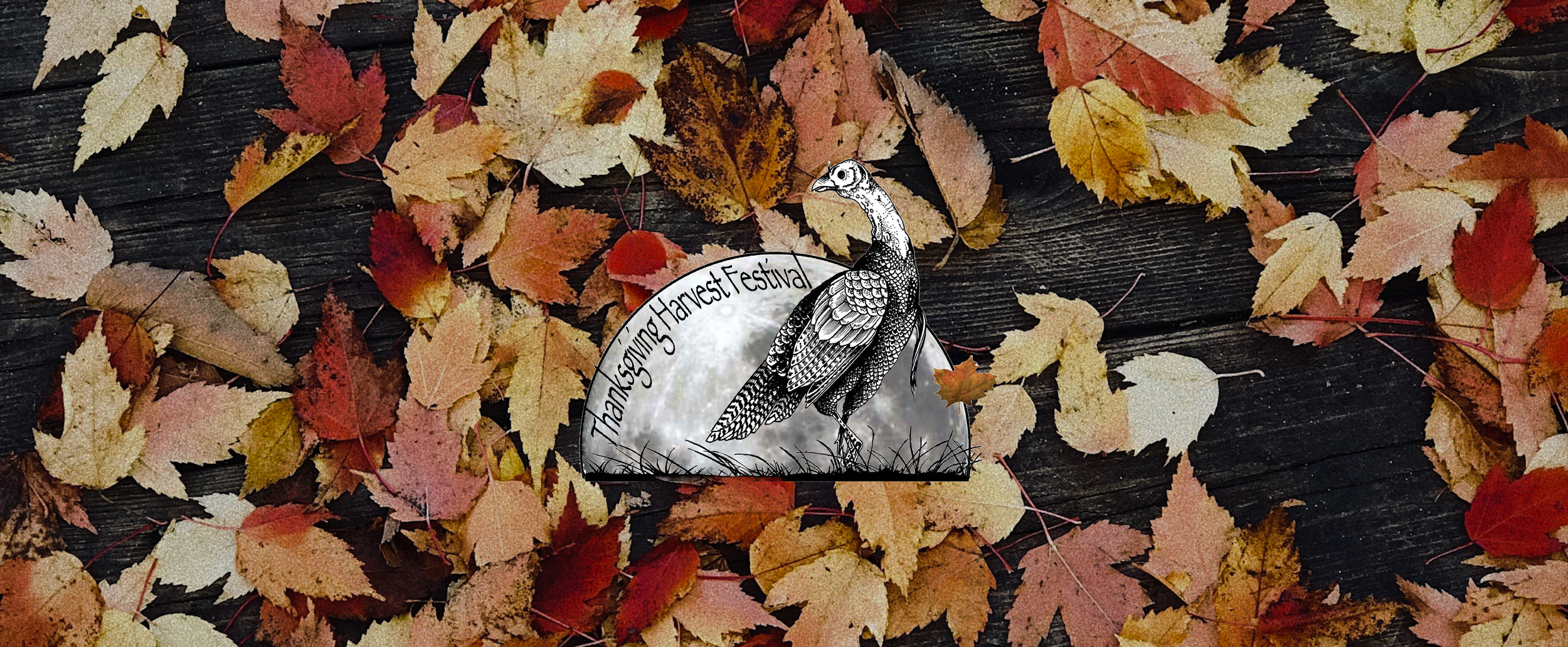 Thanksgiving Harvest Festival Logo