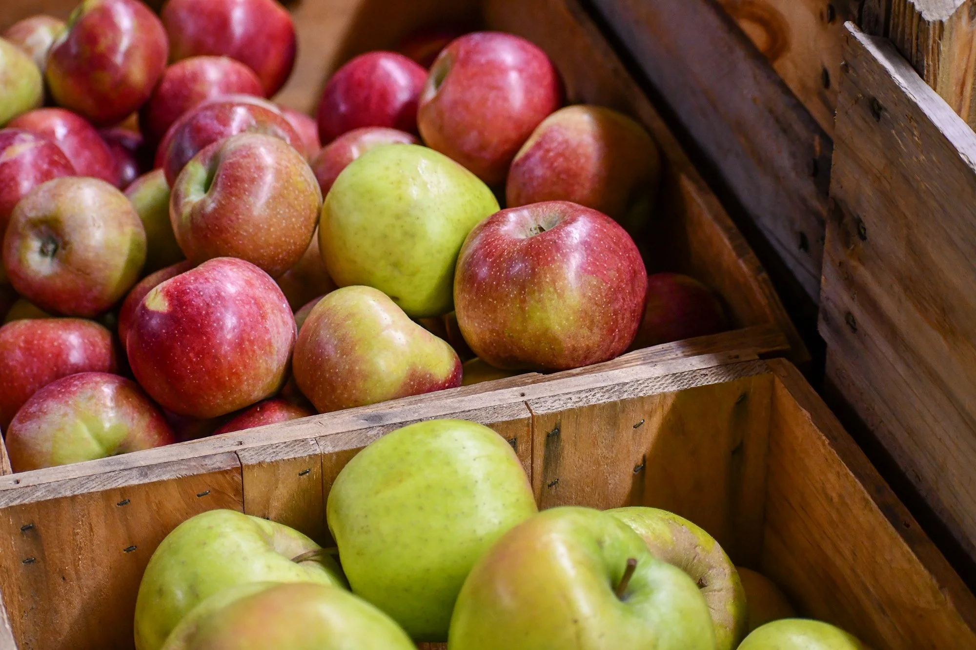 crates of shiny fresh apples of various colors and varieties