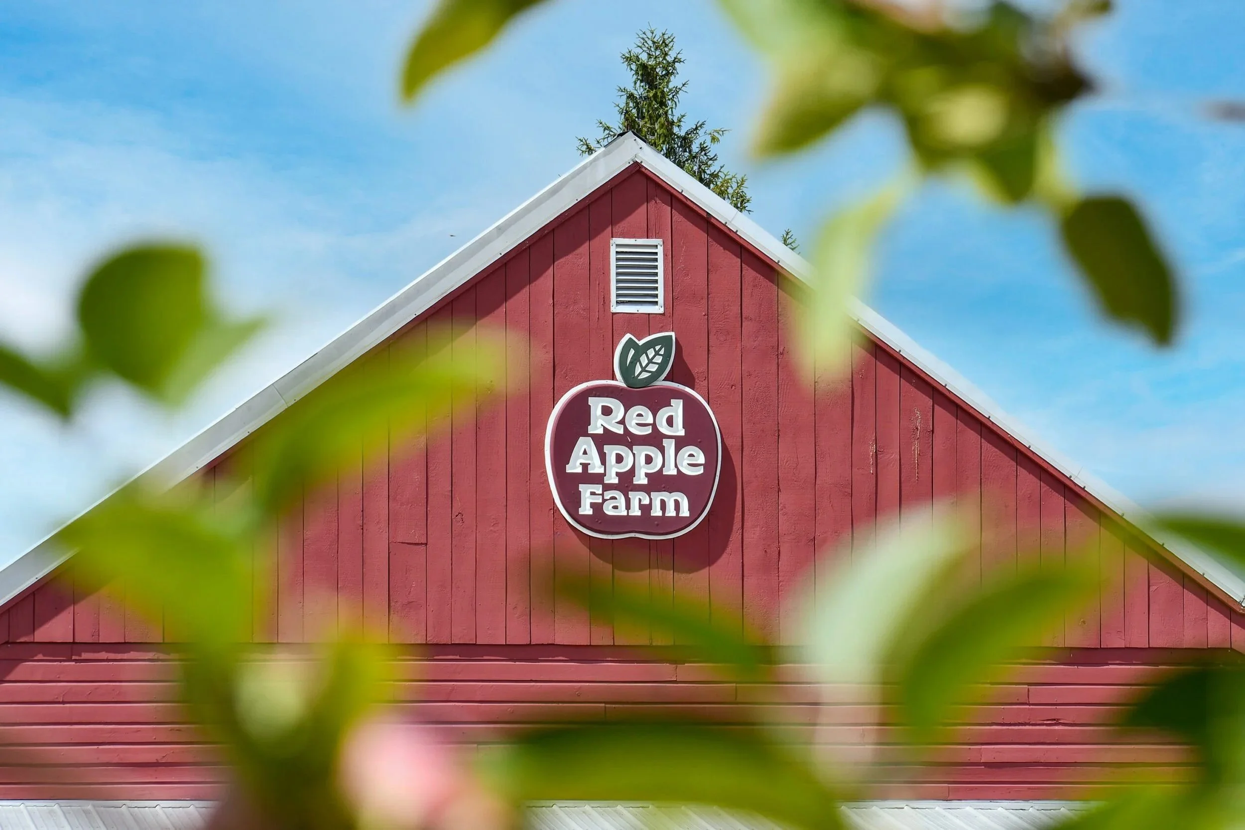 Red barn with a sign that reads "Red Apple Farm" on the front, framed by blurred green leaves in the foreground and a blue sky in the background.
