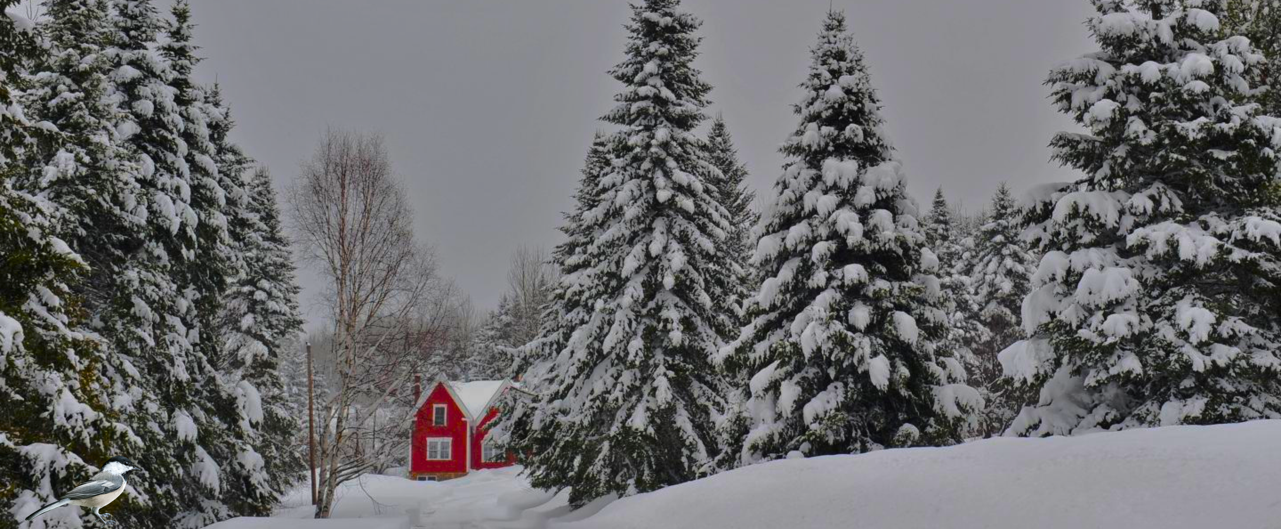 Country Roads Christmas Logo