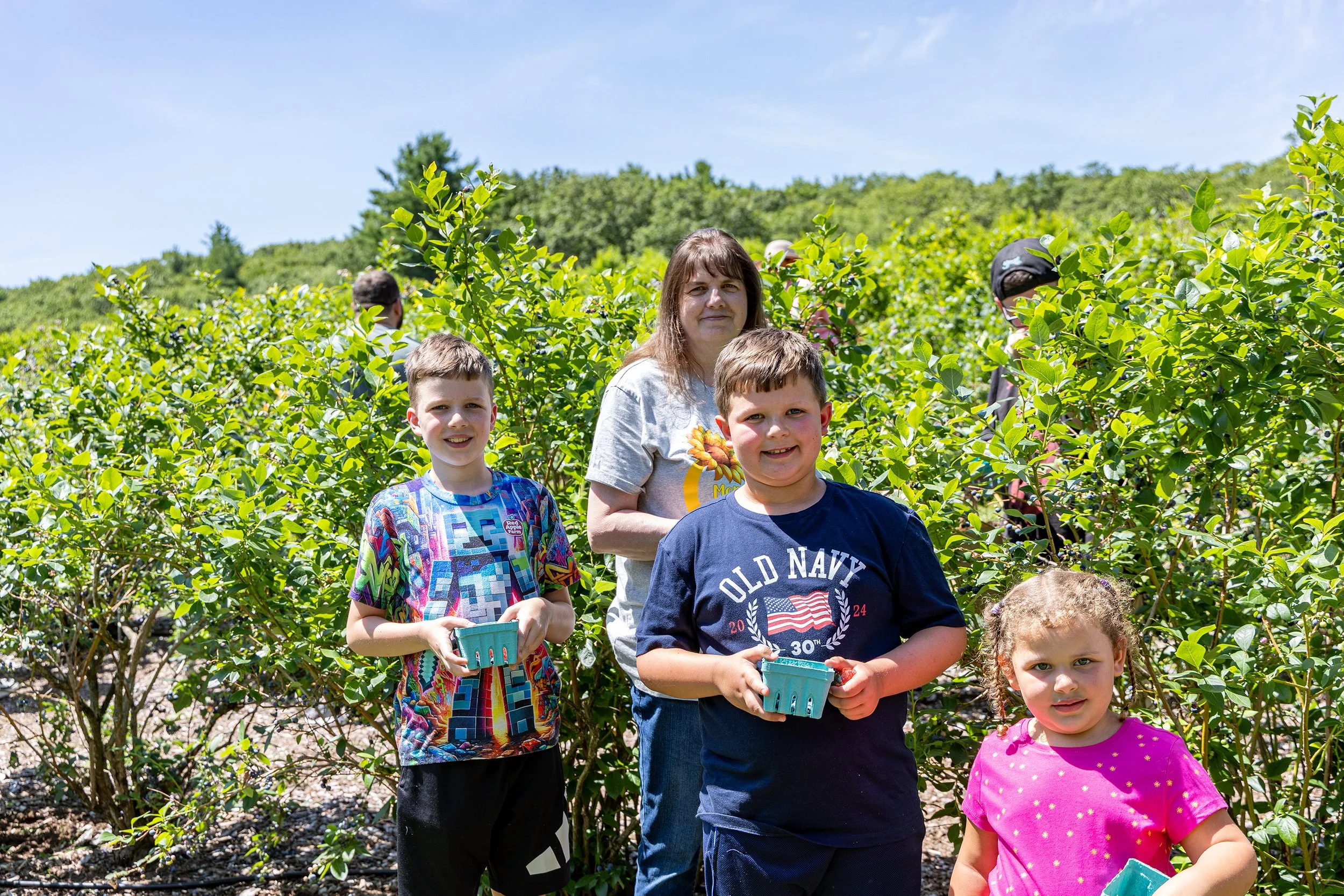Children and a woman standing among green blueberry bushes outdoors on a sunny day, holding small teal blueberry baskets.