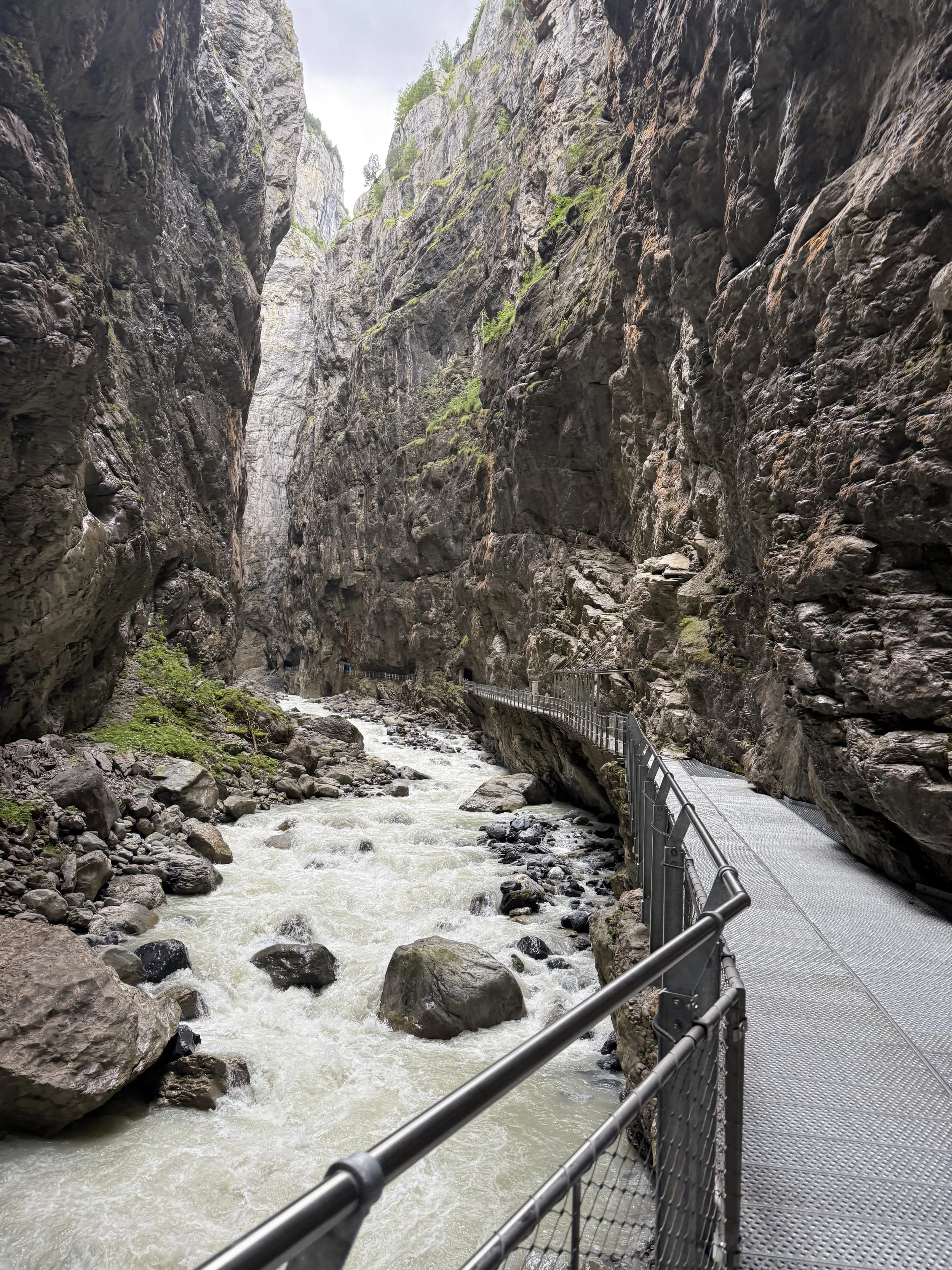 Glacier Gorge Spider Web walk with kids