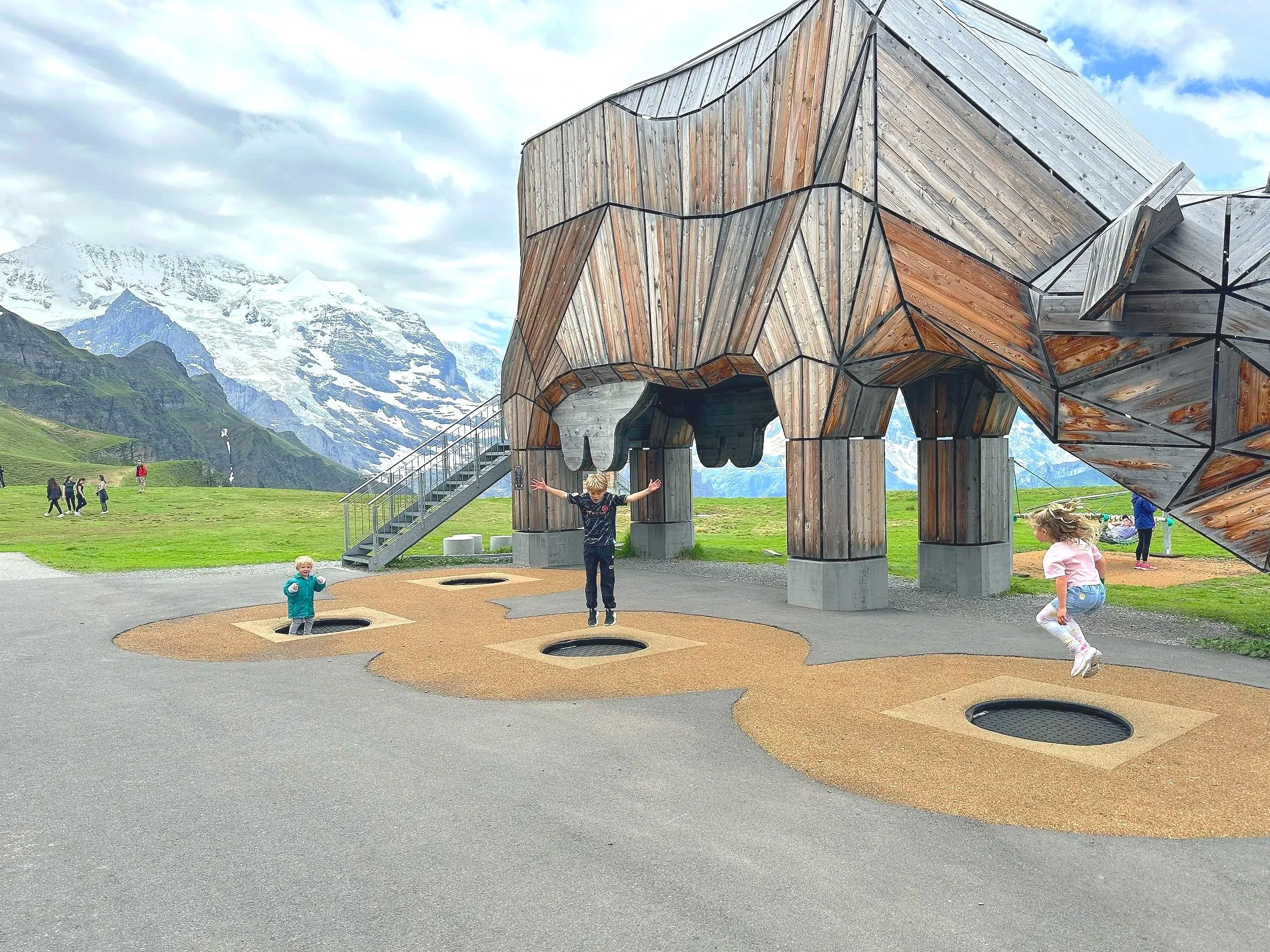 Mannlichen Cow Playground Switzerland