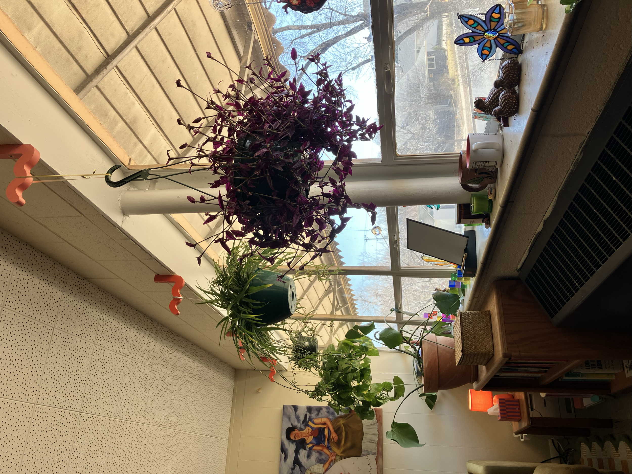 Plants in the office window