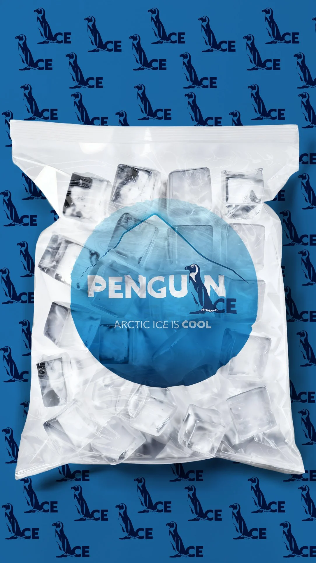 ArcticIcEisCOOL_LOGO_V2.jpg