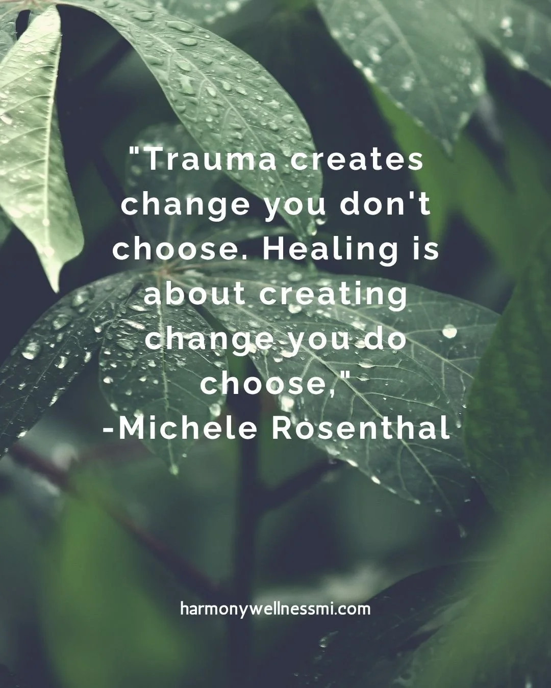 Are you ready to start your healing process? Visit us at HarmonyWellnessMI.com to learn how you can begin your healing journey.
#Trauma #Traumatherapy #Therapy #MentalHealthMatters