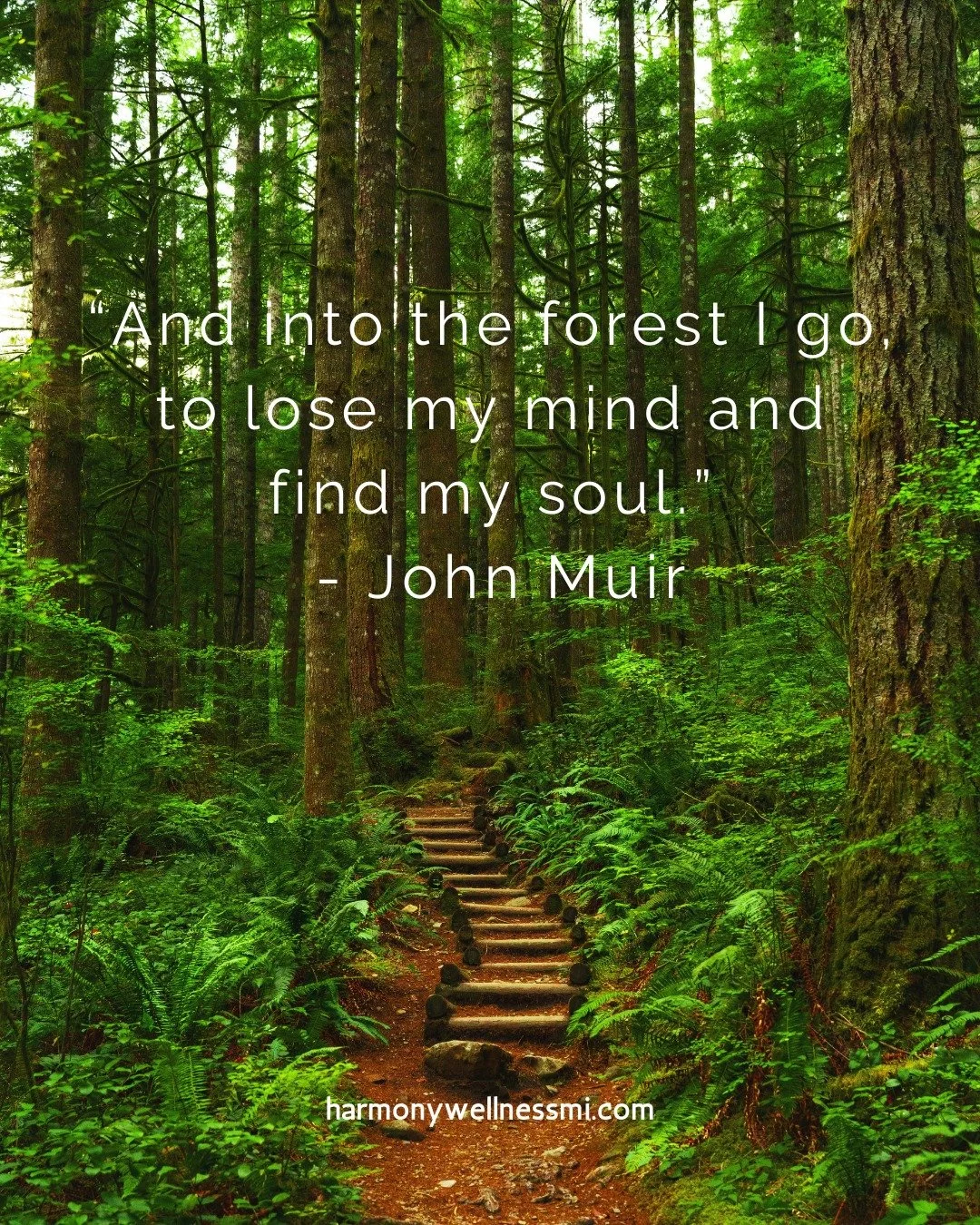 Less noise. More breath. More you.

#mentalhealth
#mentalhealthmatters
#traumainformed
#justbreathe