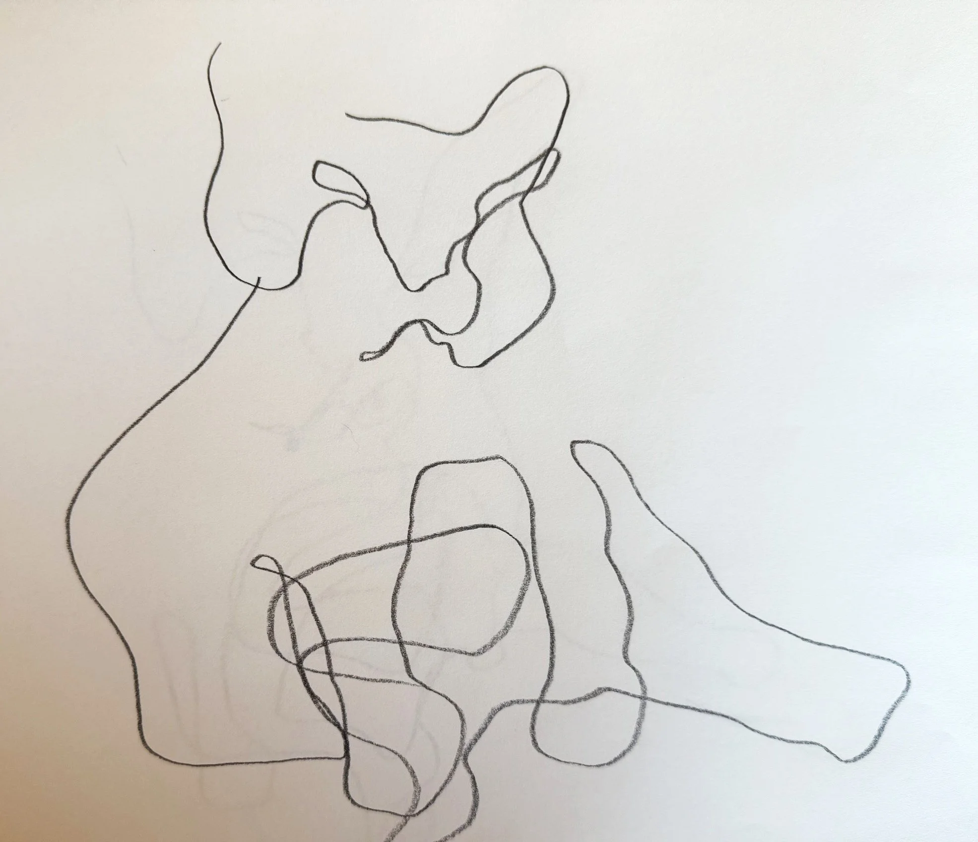 Abstract line drawing with fluid, curvy lines on white paper
