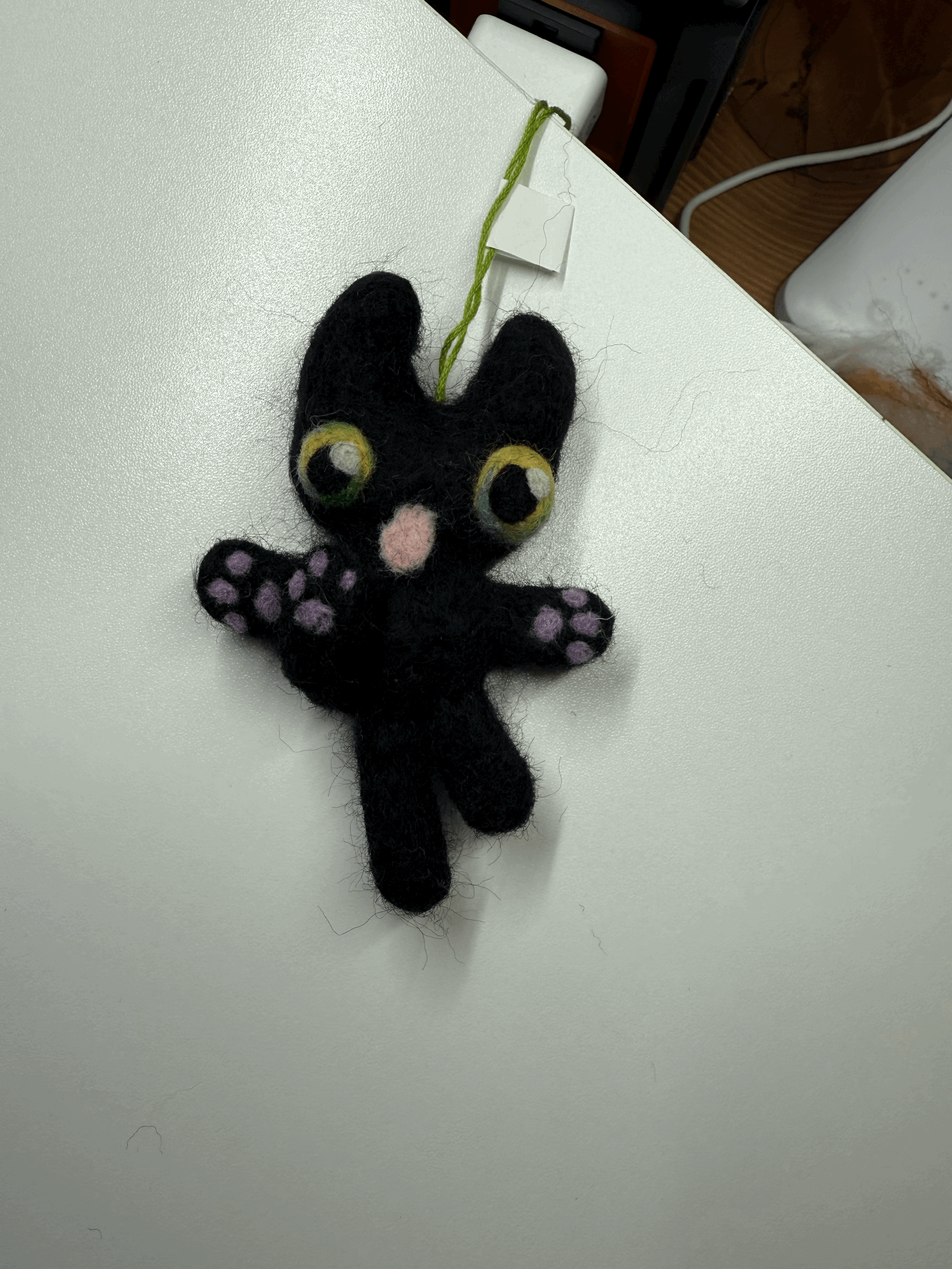 Black Cat Bathing themselves