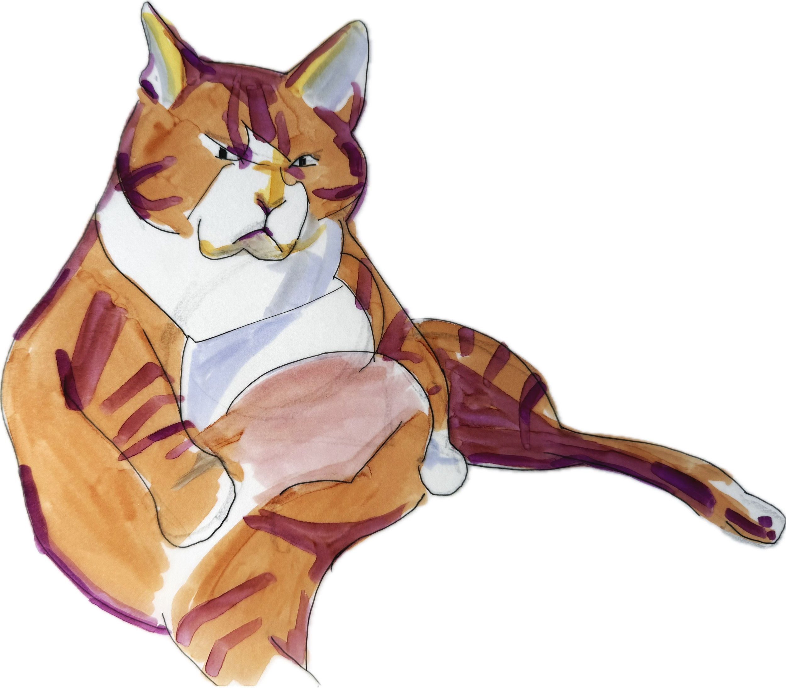 Illustration of a grumpy orange cat with stripes, sitting and looking at the viewer.
