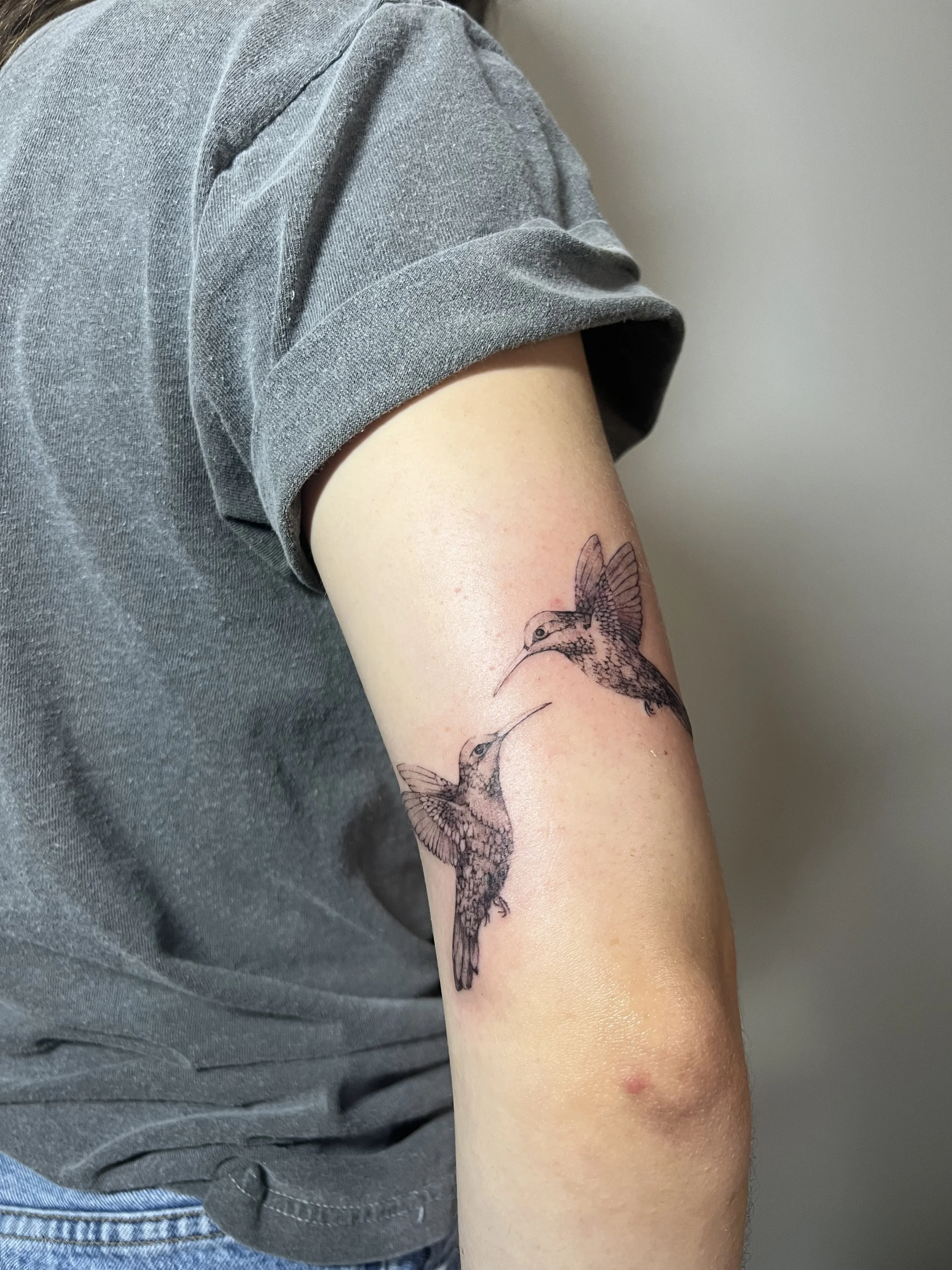 'Humming bird lovers'