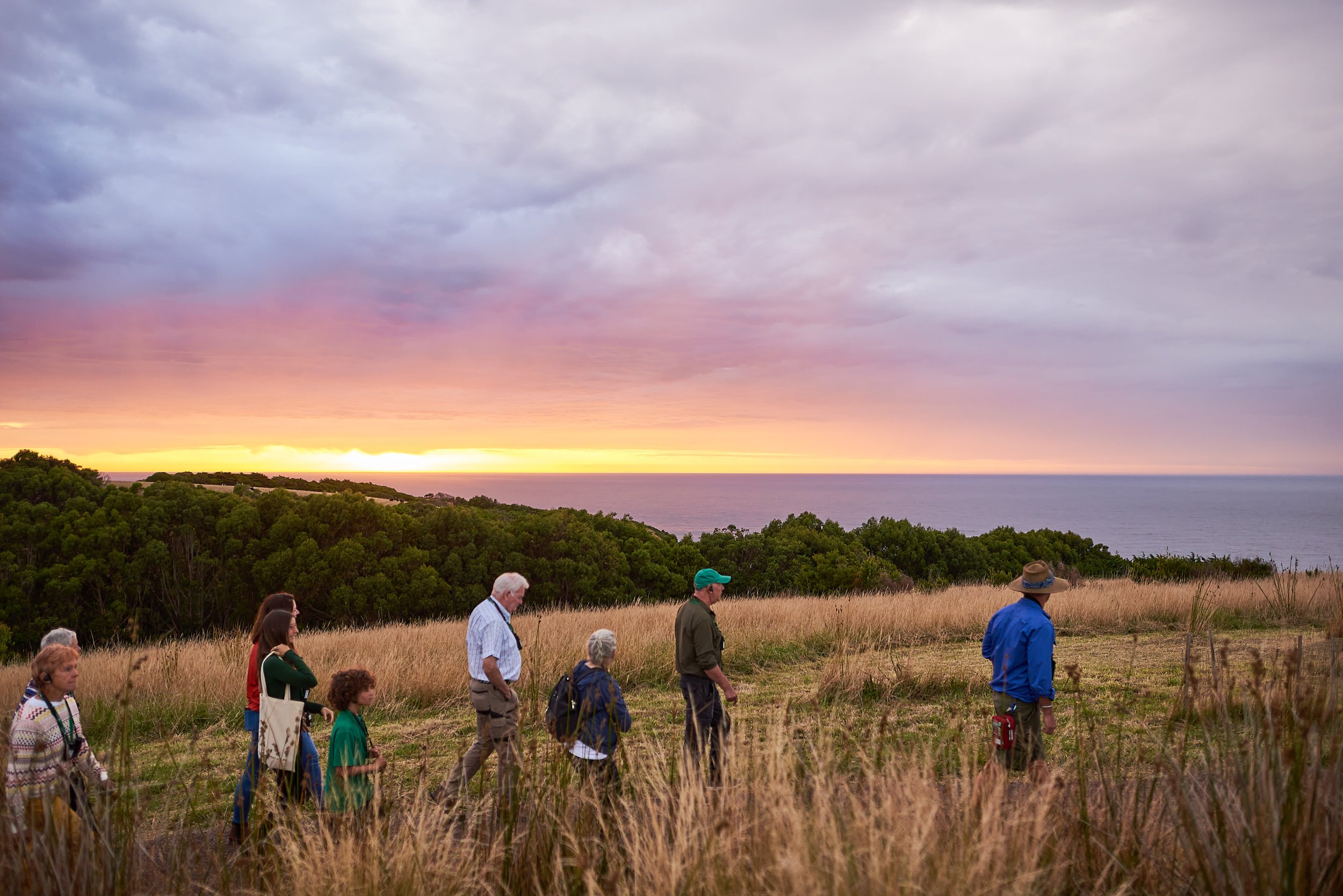 Dawn Discovery Tour on hilltop_Wildlife Wonders Apollo Bay.jpg
