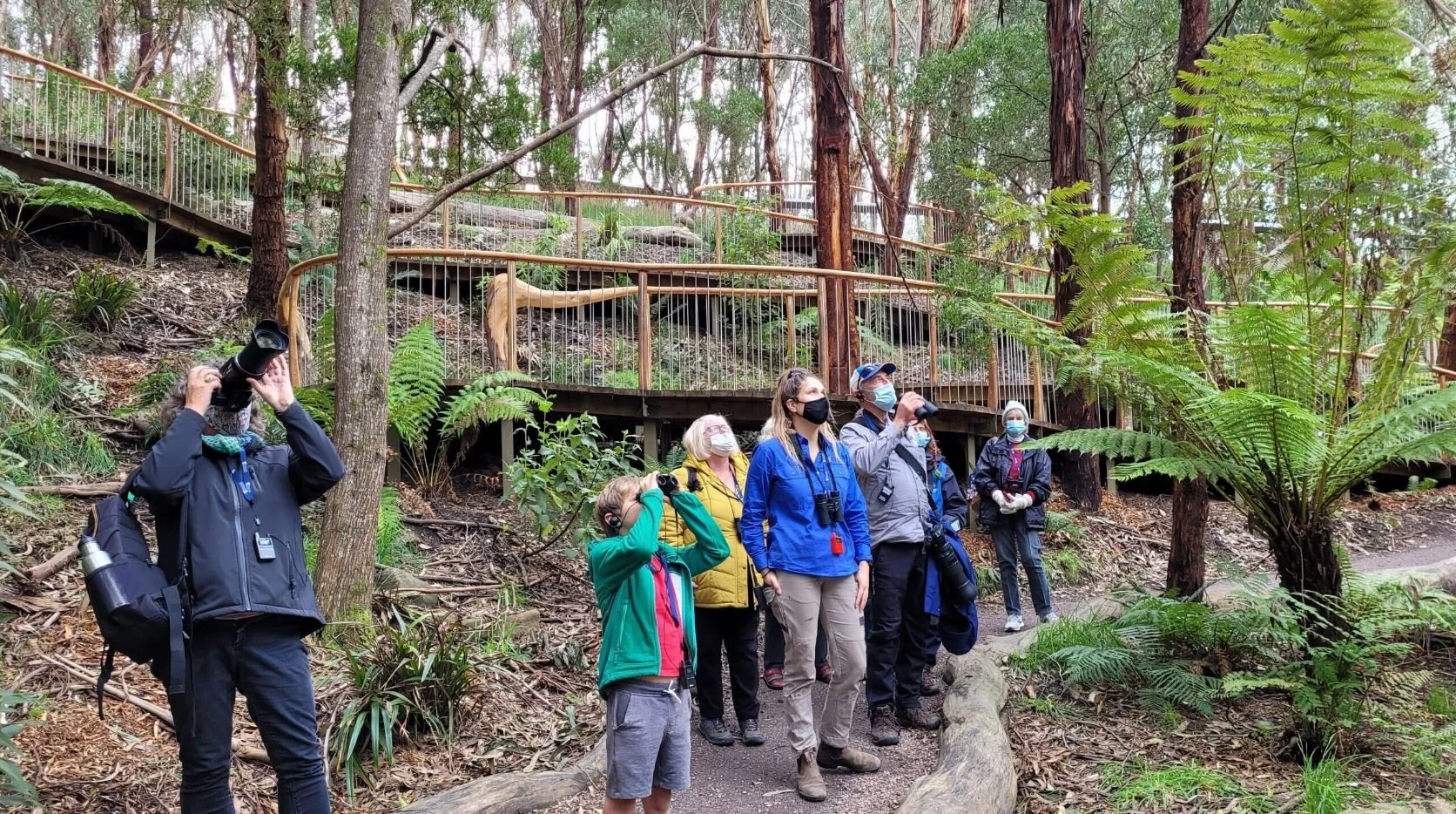 Group of people birdwatching in a forest, using binoculars and cameras, wearing jackets and masks, surrounded by trees and ferns.