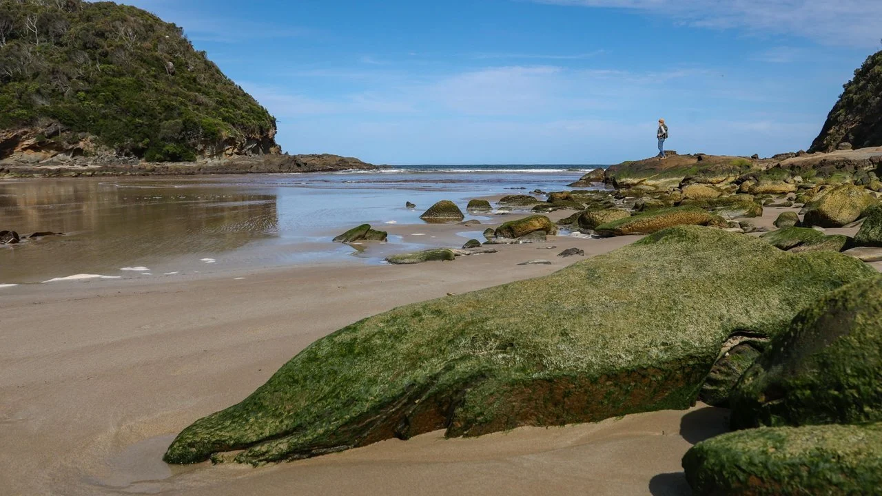 Otways coast.jpg