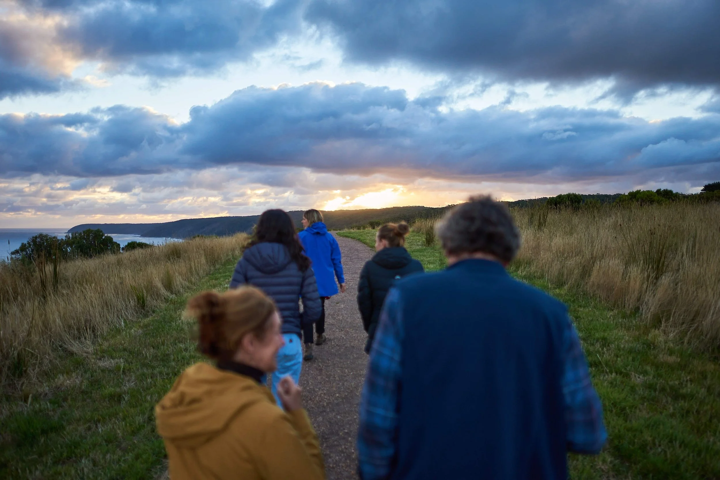 Sun setting Dusk Tour_Wildlife Wonders Apollo Bay.jpg