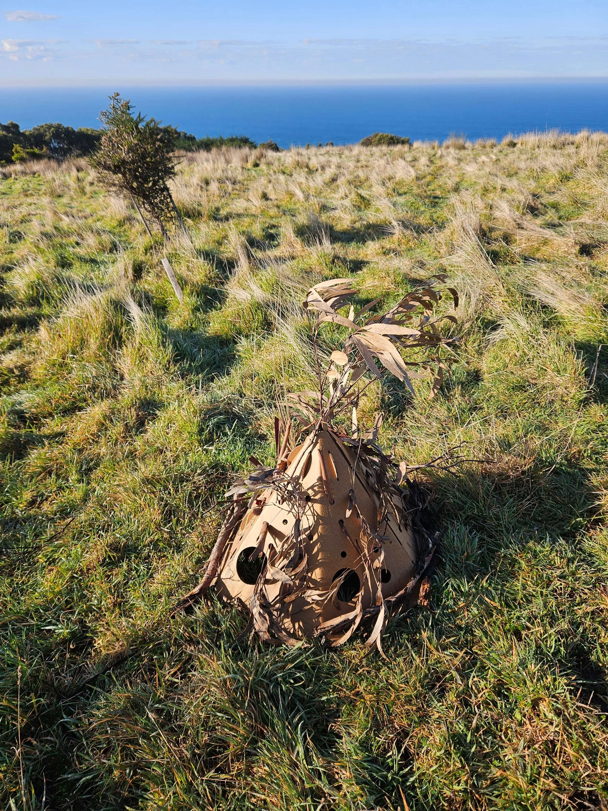 Habitat pod - Wild Science Experience at Wildlife Wonders.jpg