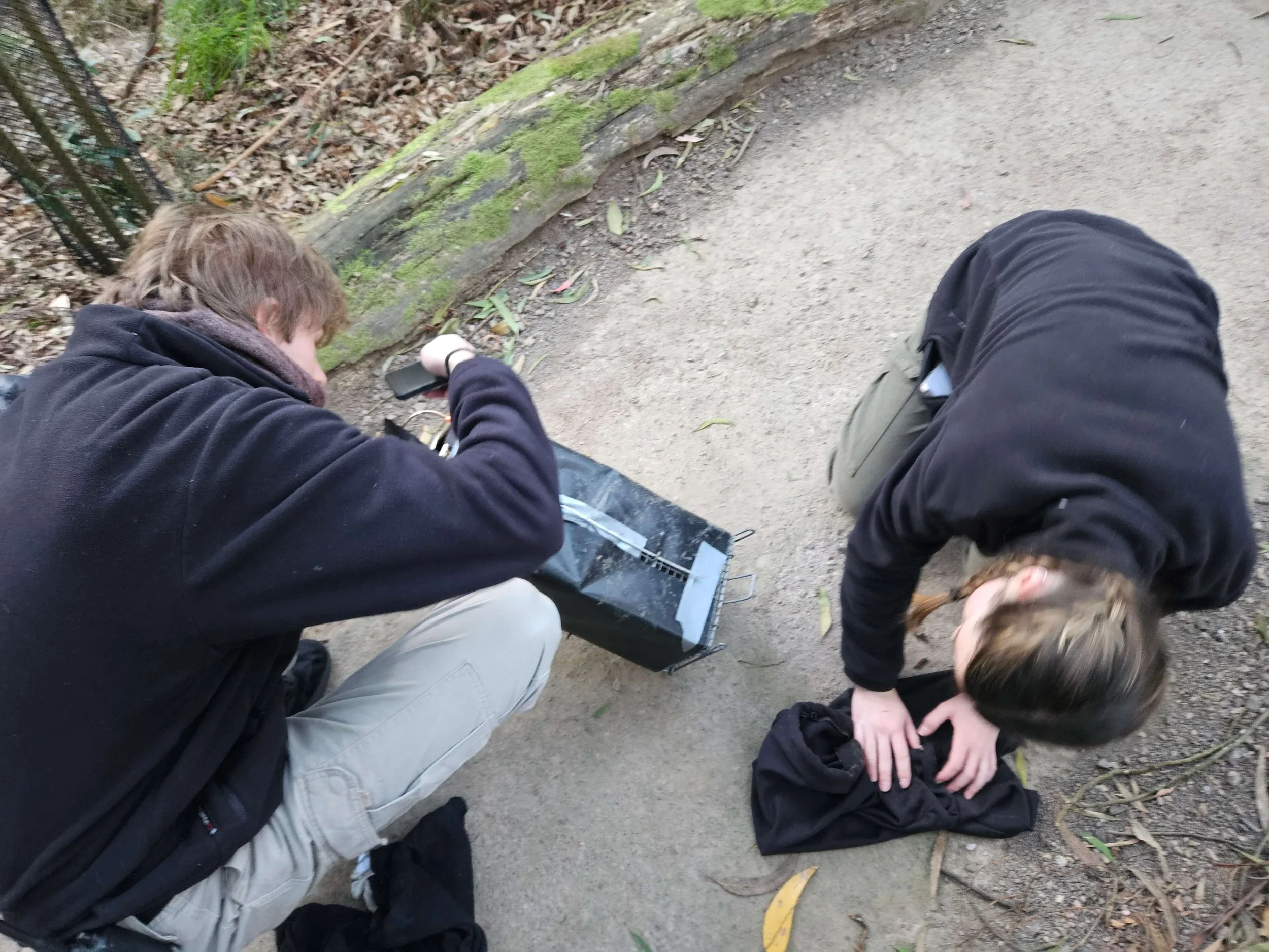 Wildlife Wonders - Students checking trap.jpg