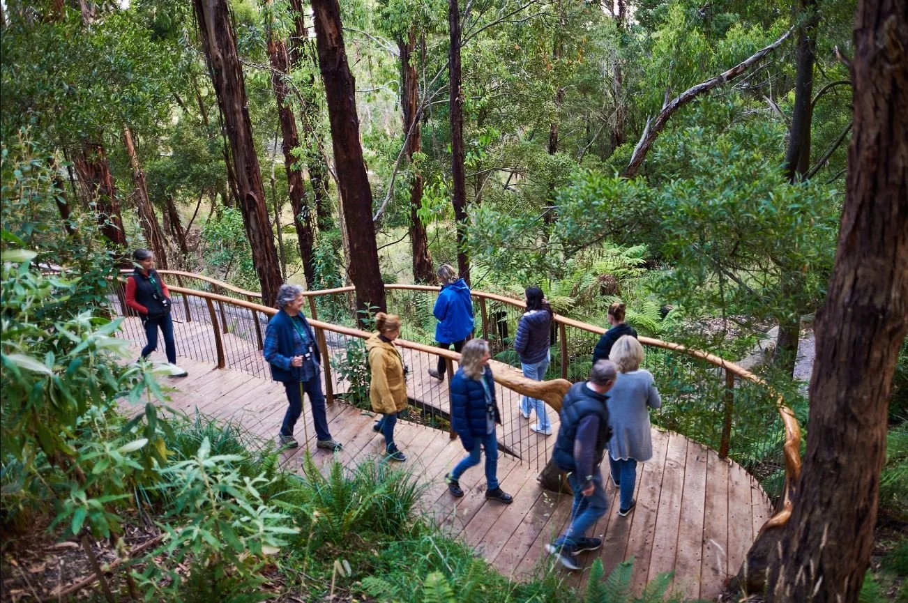 People walking on a wooden boardwalk through a lush forest.